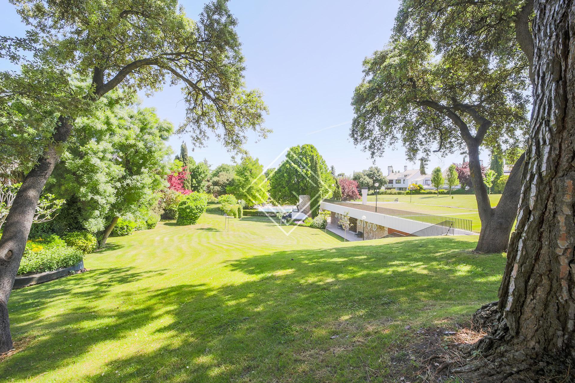 Imagen 47 de la propiedad