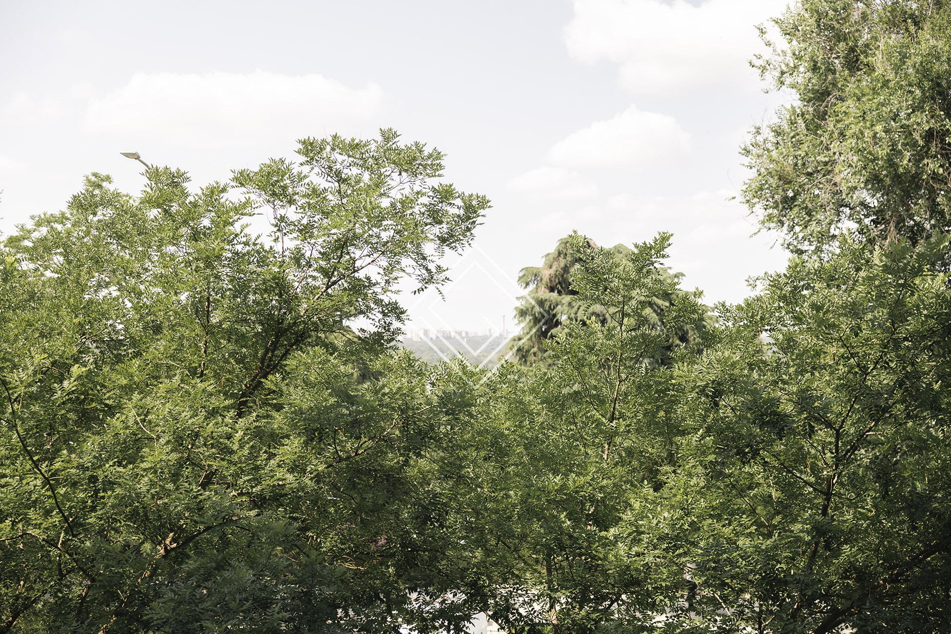 Imagen 66 de la propiedad