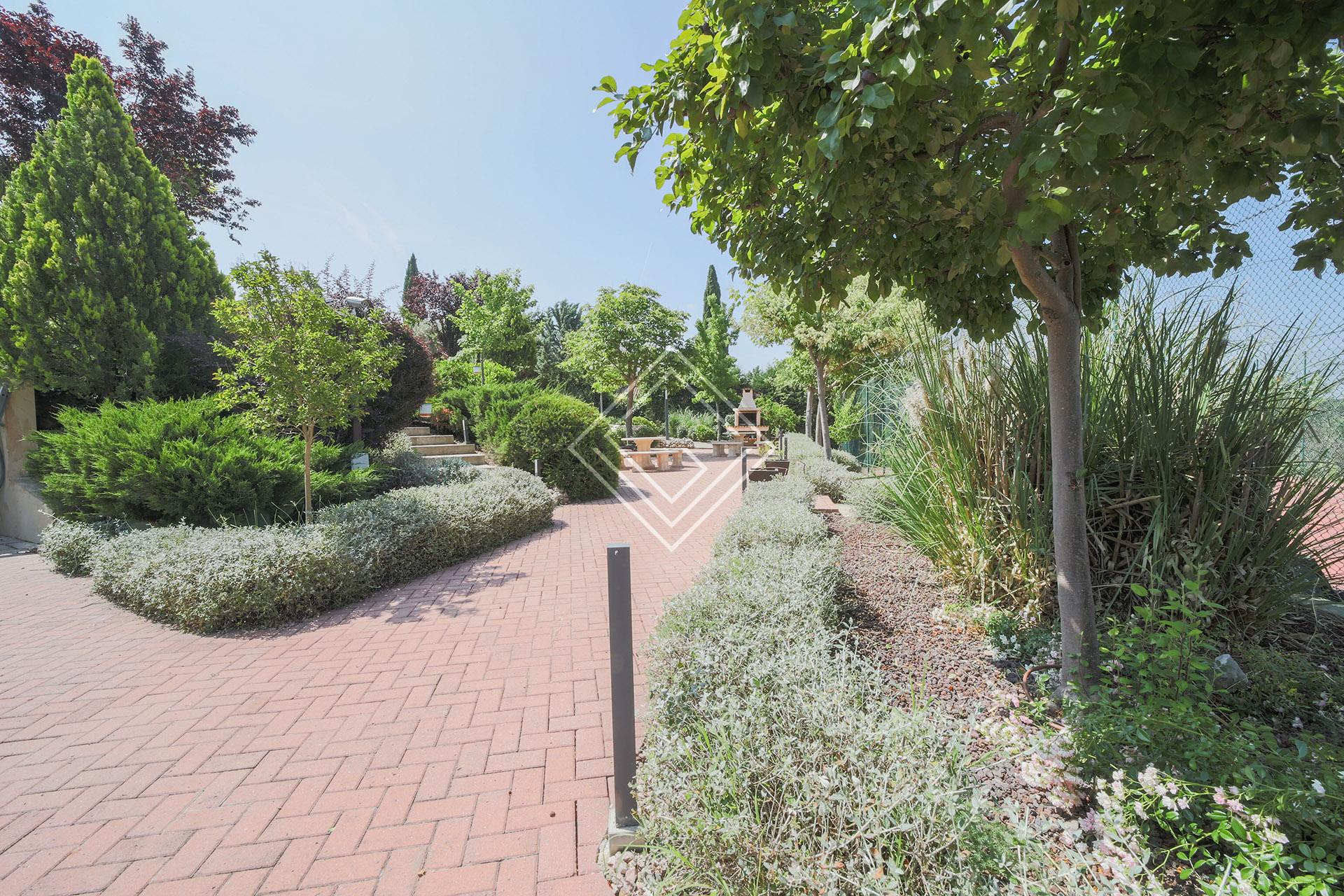 Imagen 17 de la propiedad