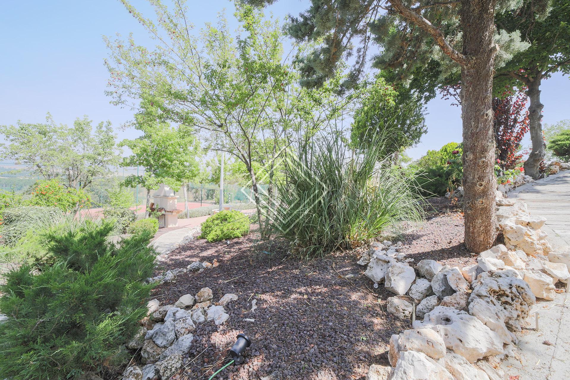 Imagen 21 de la propiedad