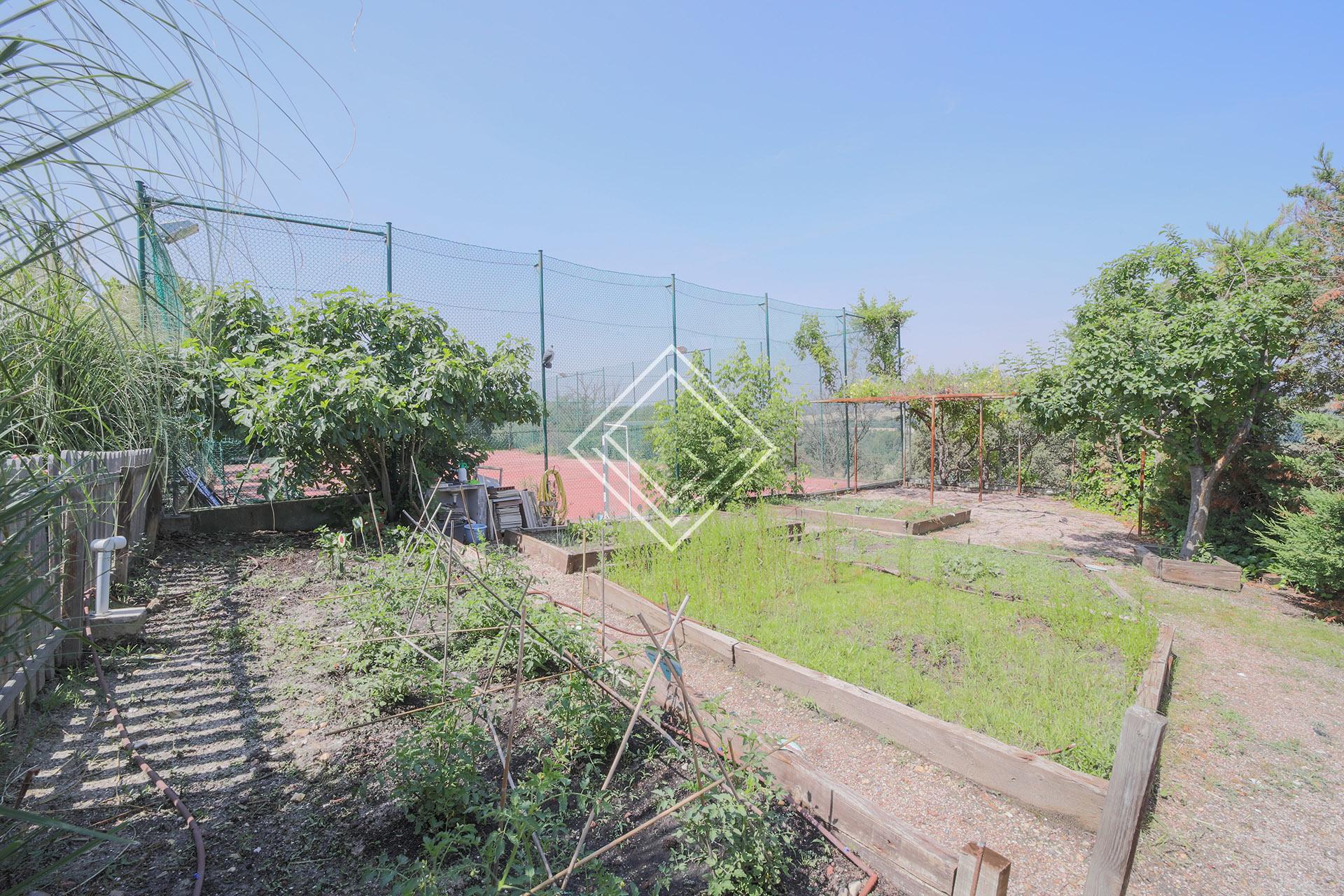 Imagen 45 de la propiedad