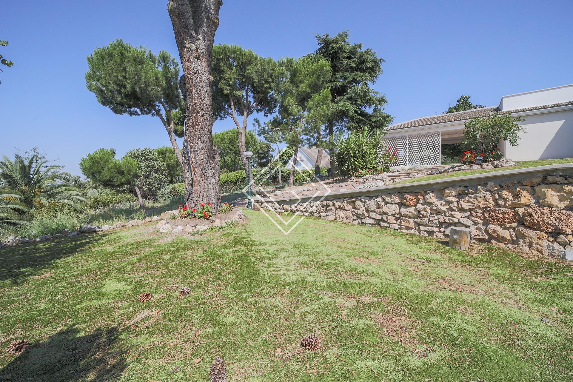 Imagen 31 de la propiedad