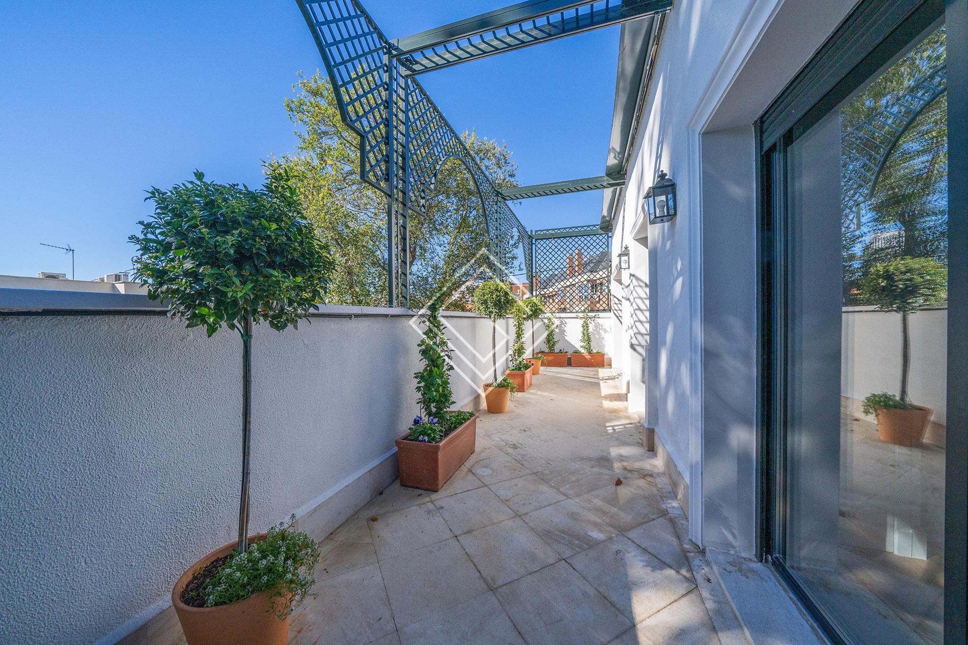 Imagen 34 de la propiedad