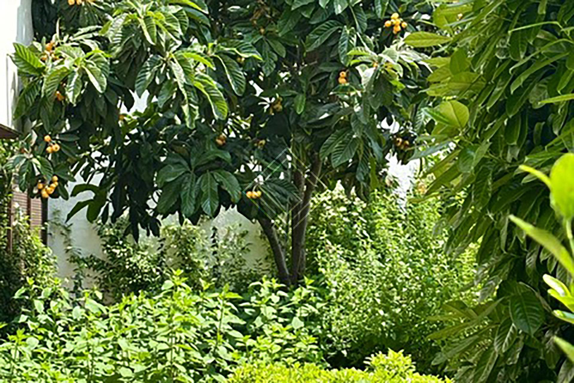 Imagen 16 de la propiedad