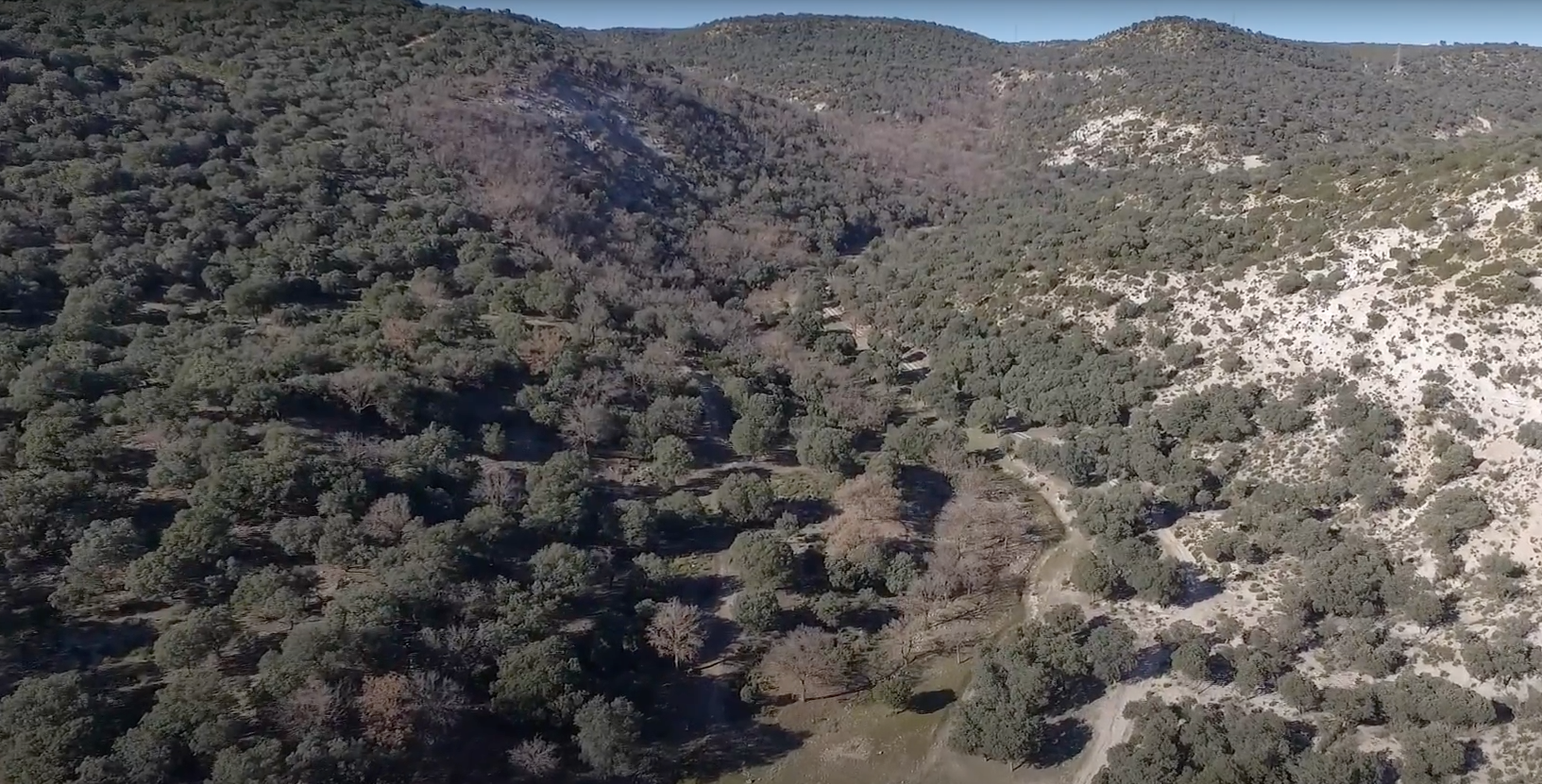 Imagen 6 de la propiedad