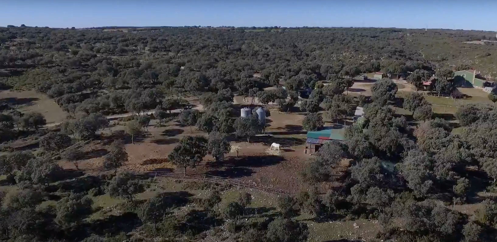 Imagen 8 de la propiedad