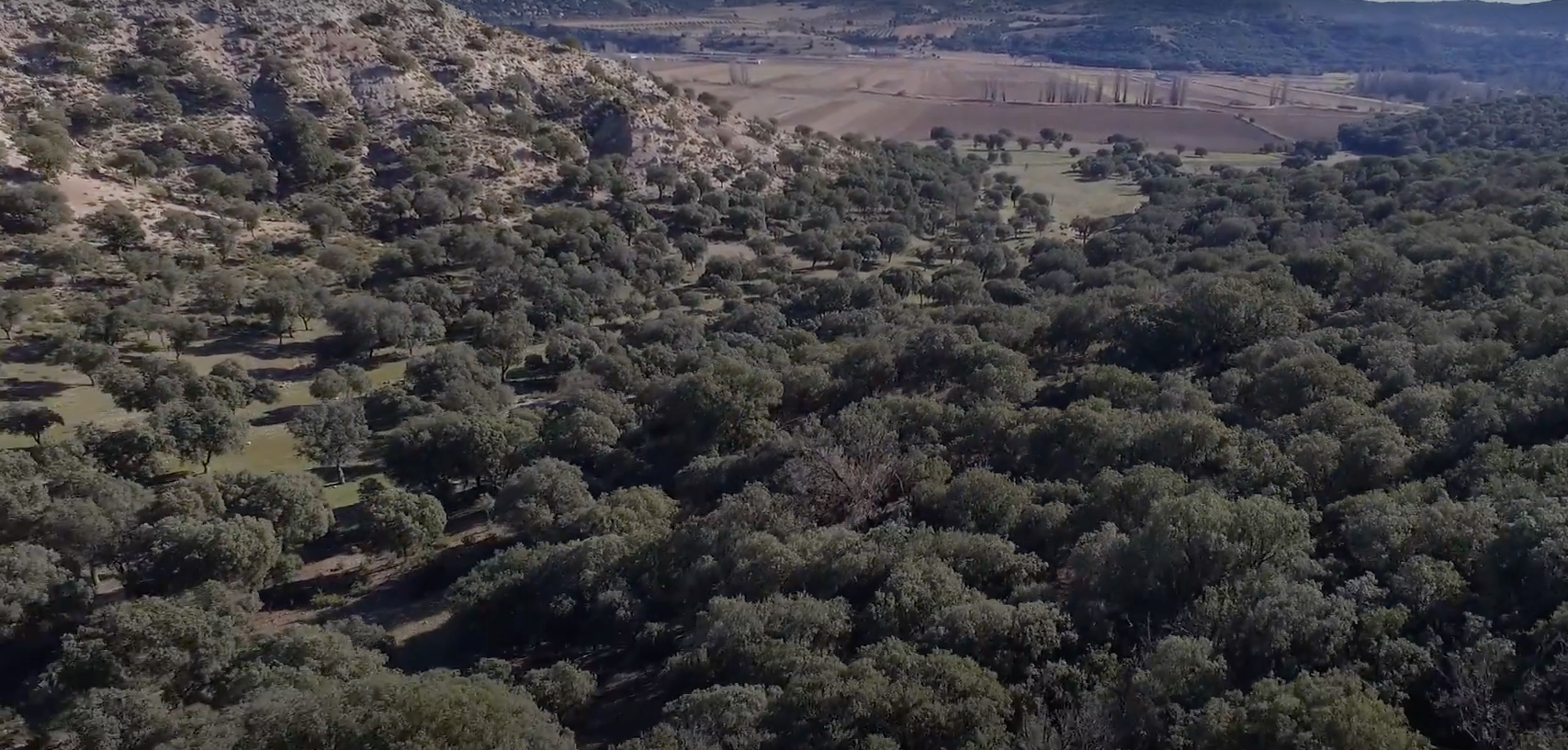 Imagen 9 de la propiedad