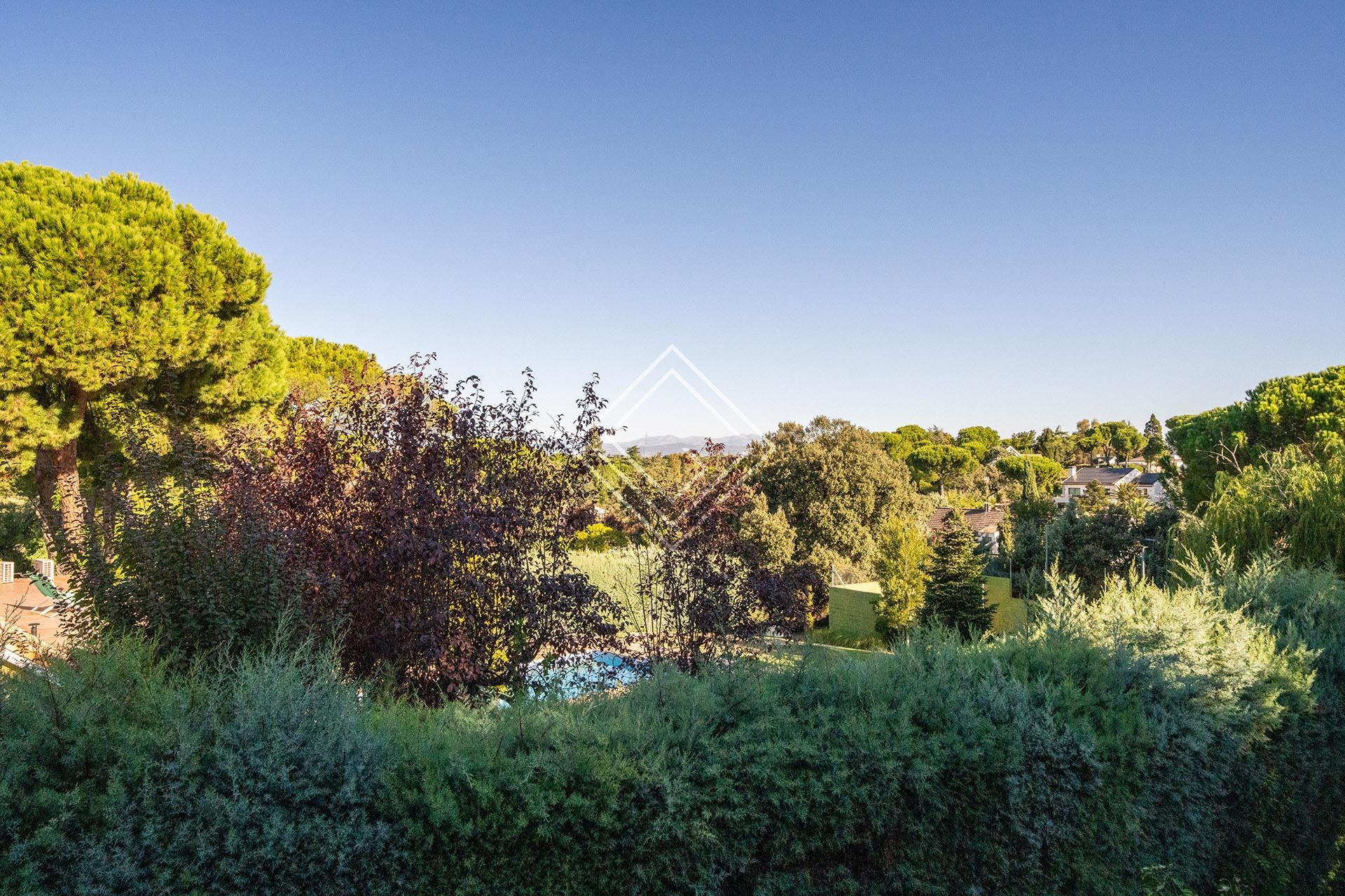 Imagen 37 de la propiedad