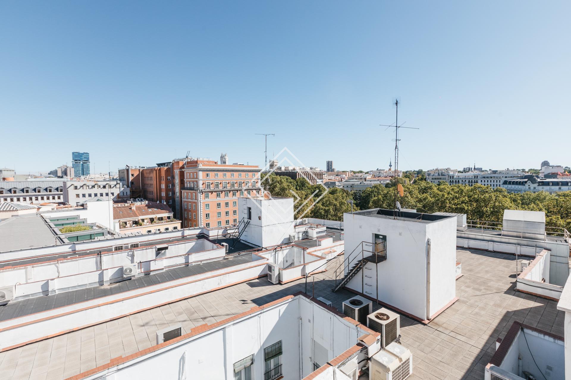 Imagen 33 de la propiedad