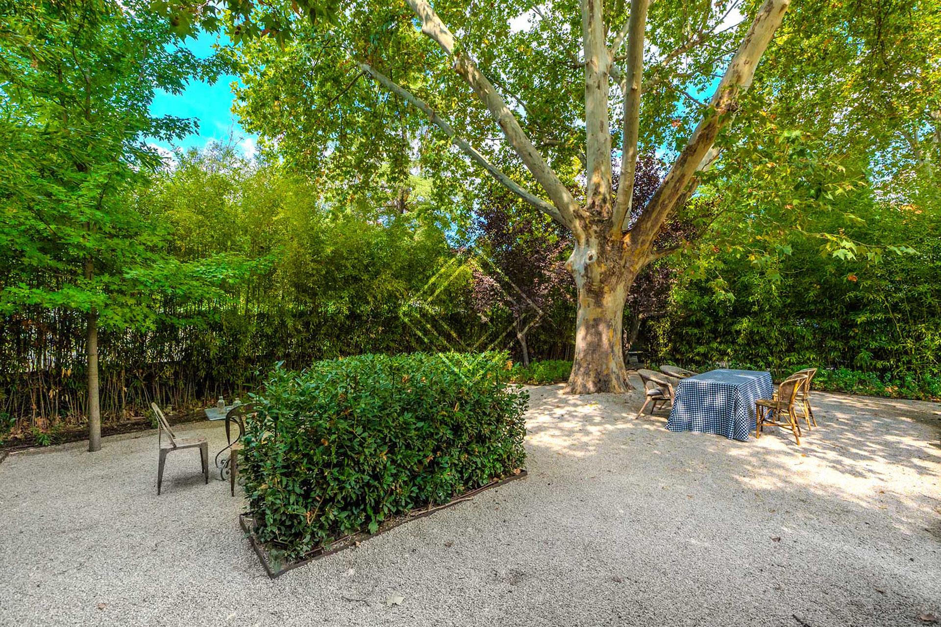 Imagen 20 de la propiedad