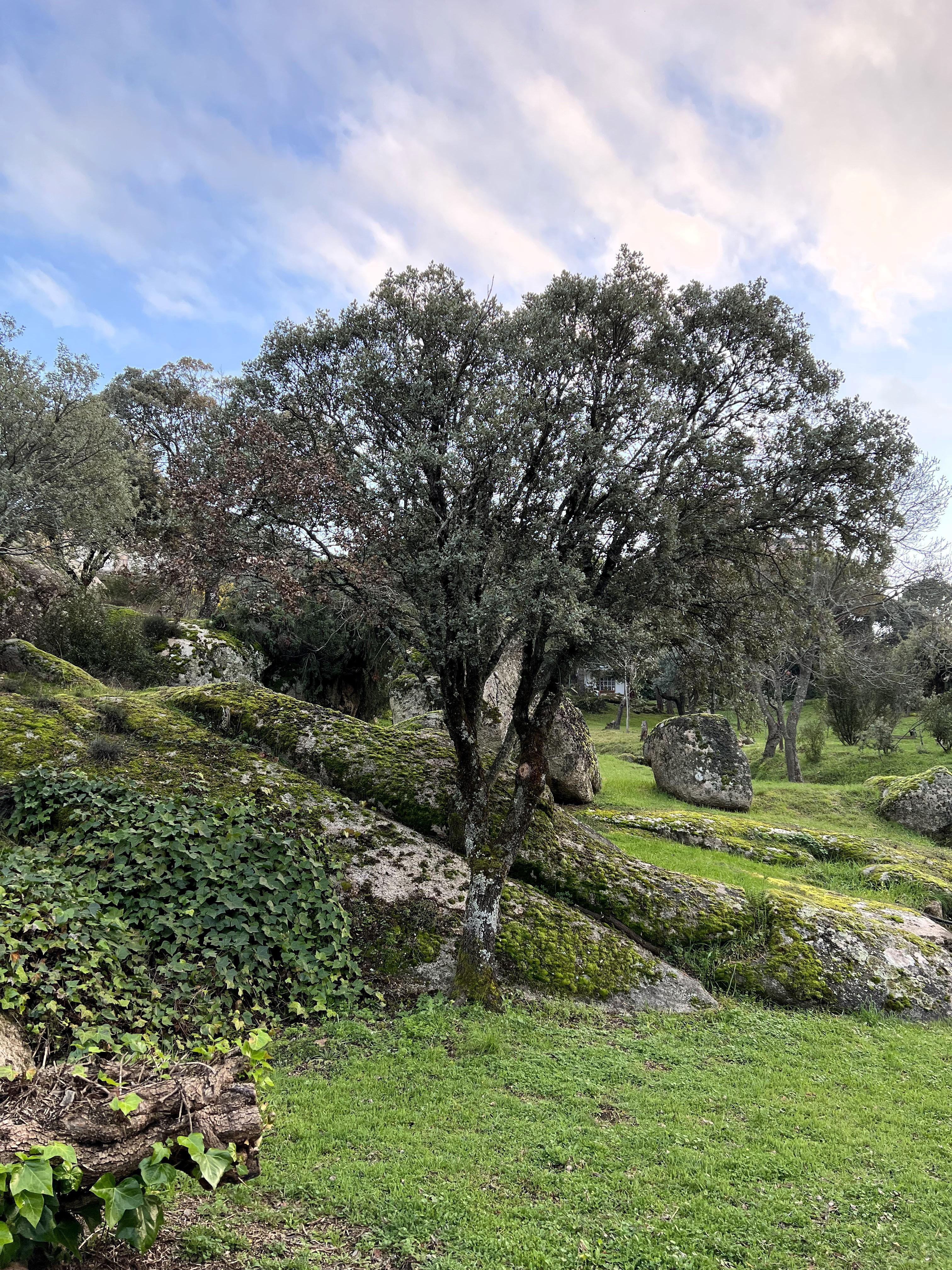 Imagen 41 de la propiedad