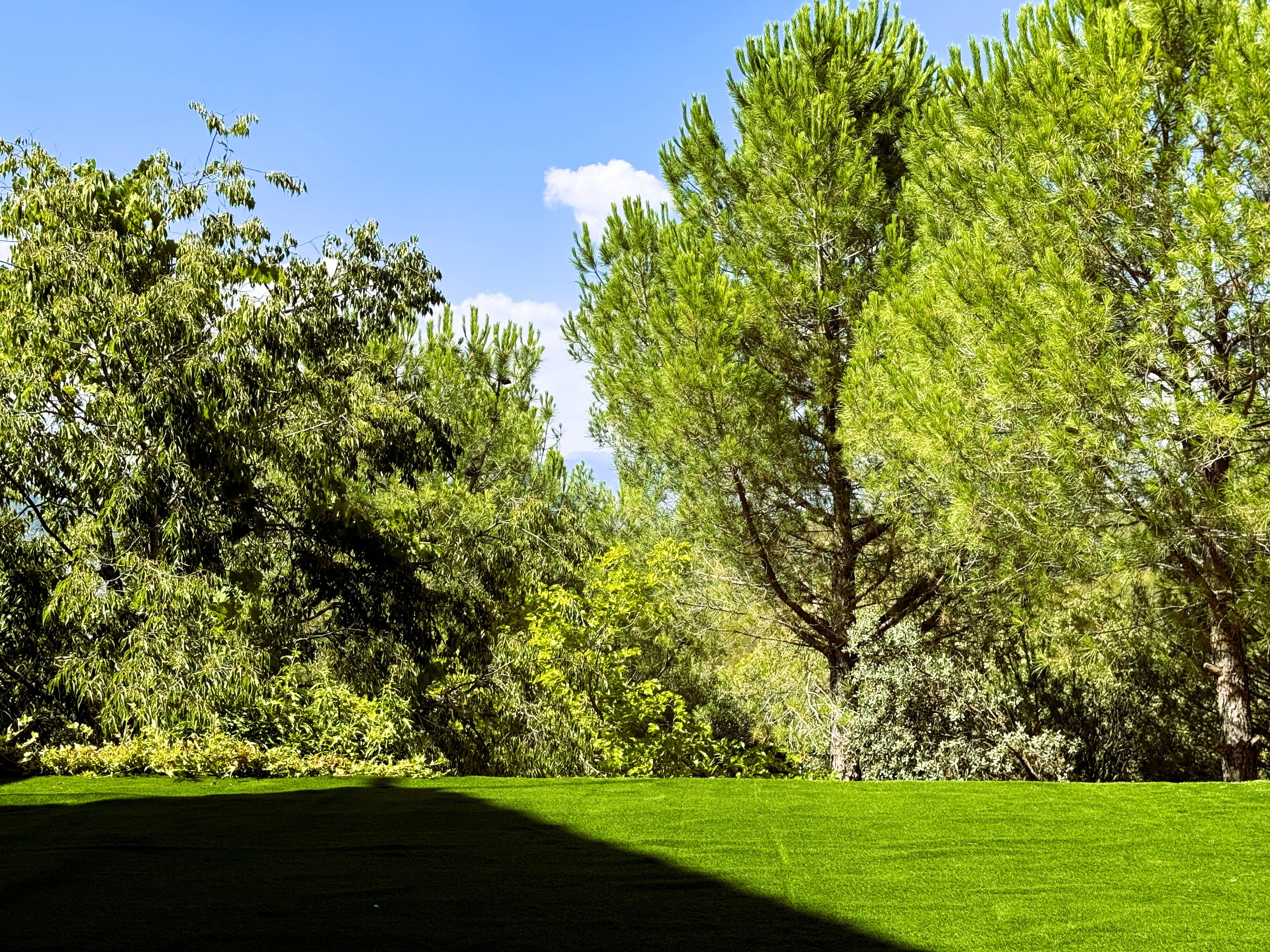 Imagen 38 de la propiedad