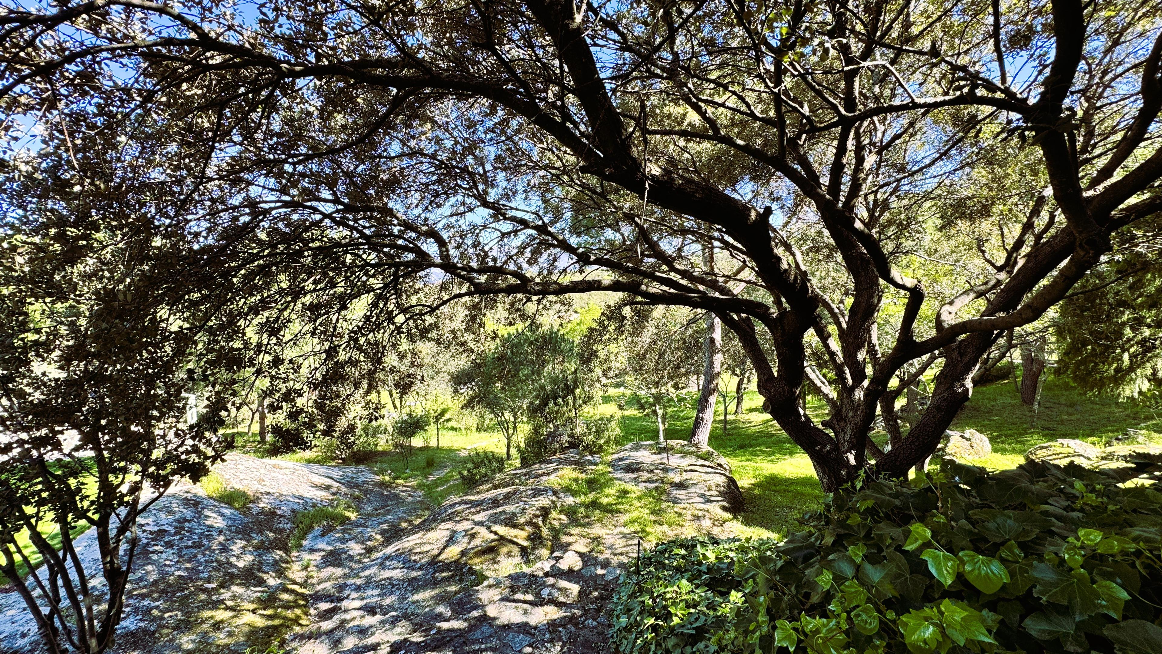 Imagen 39 de la propiedad