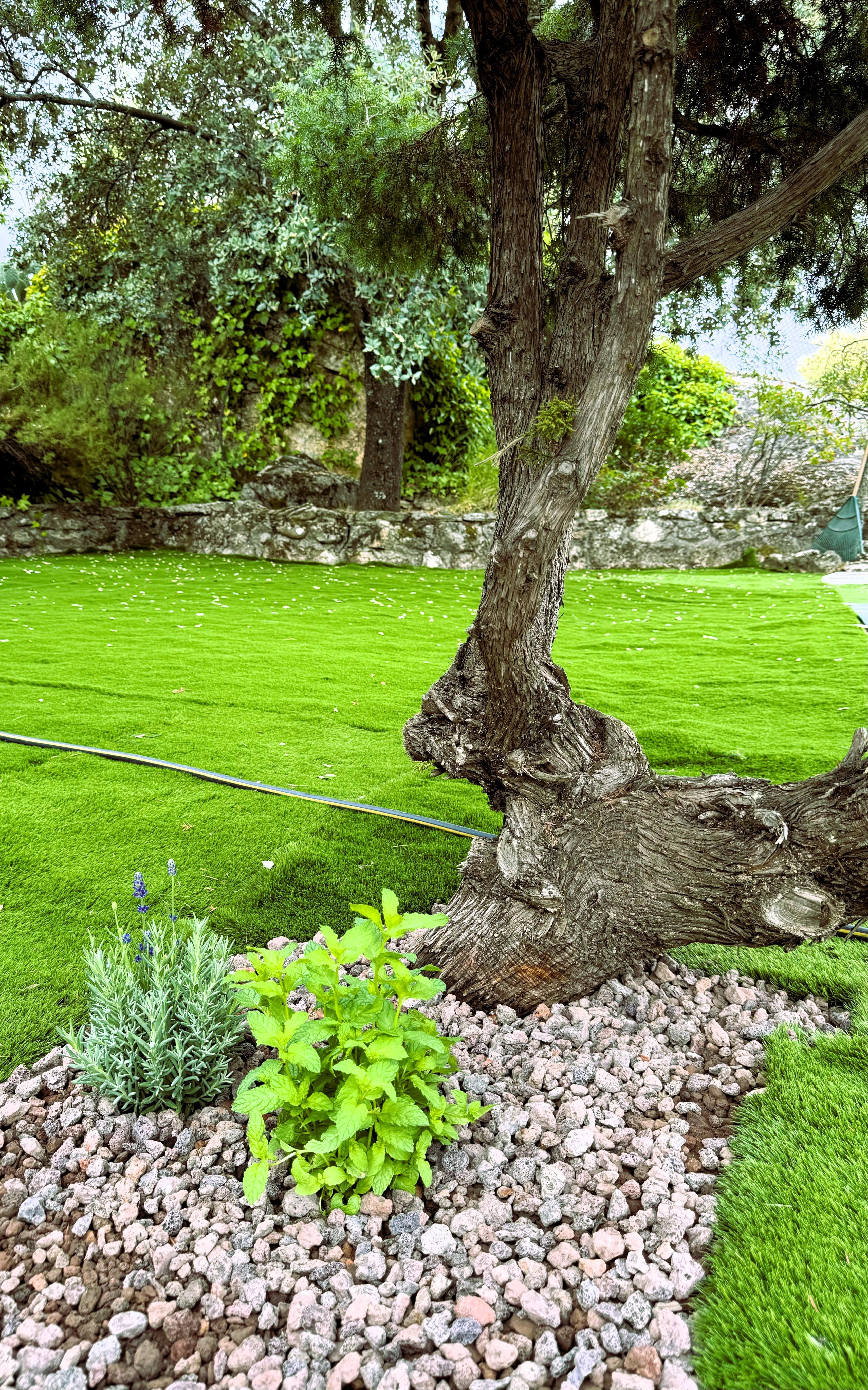 Imagen 35 de la propiedad