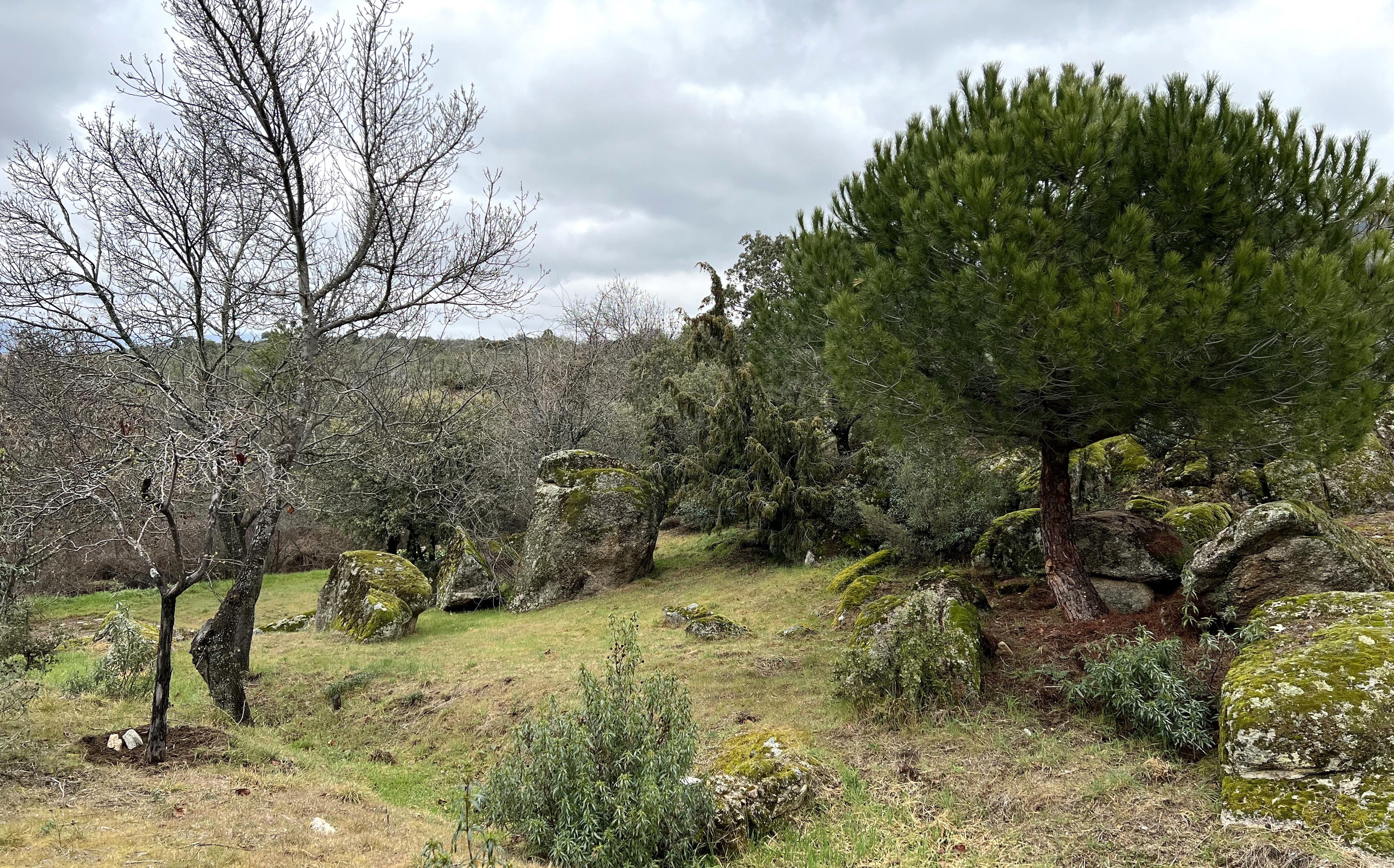 Imagen 40 de la propiedad