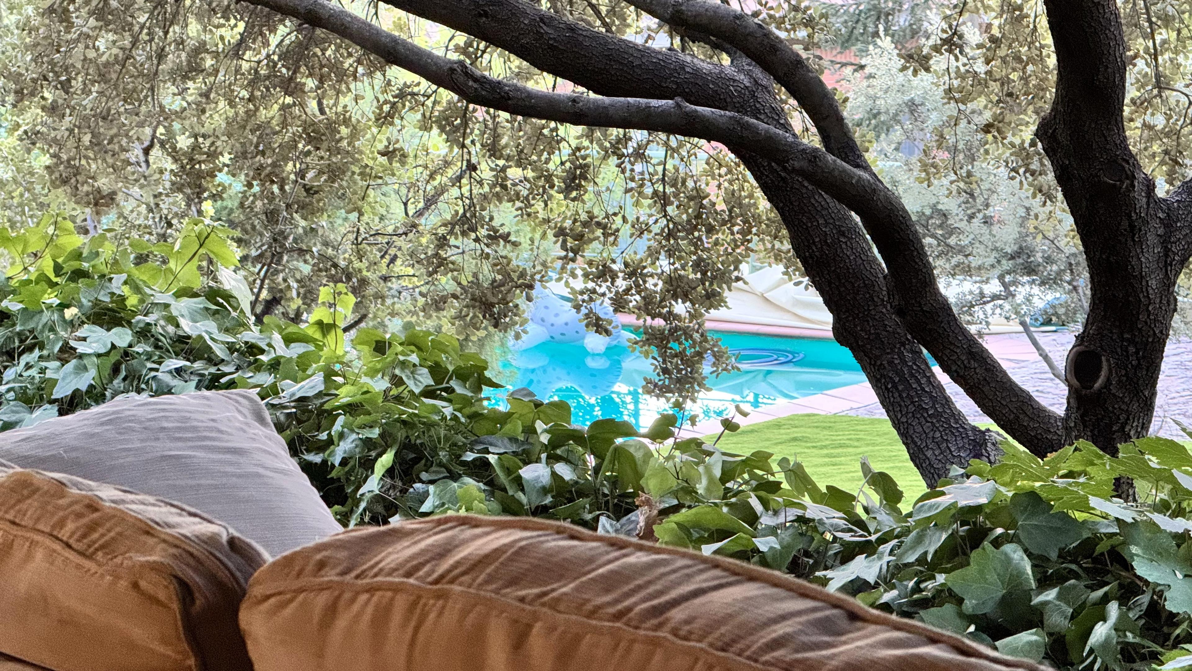 Imagen 37 de la propiedad