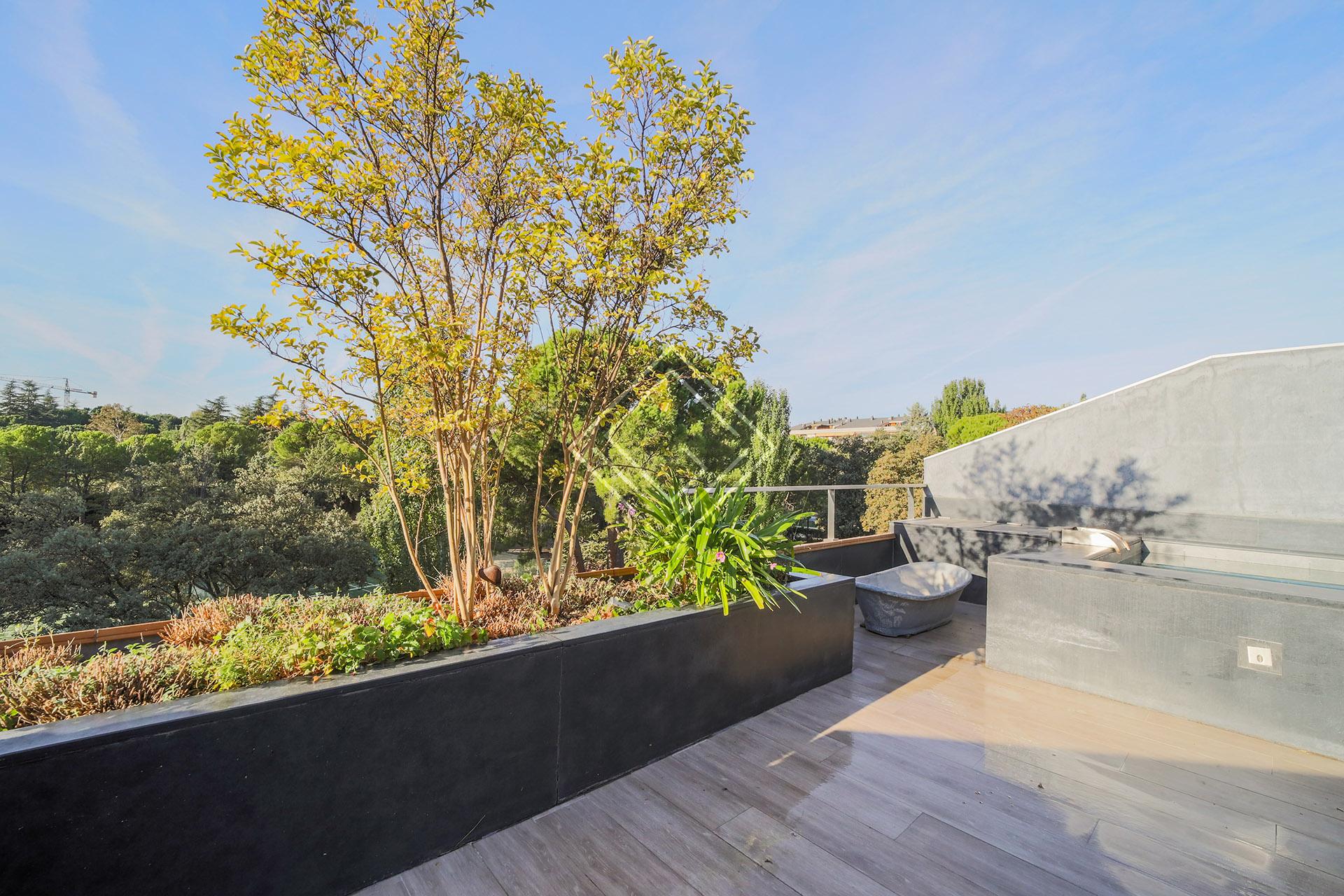 Imagen 5 de la propiedad