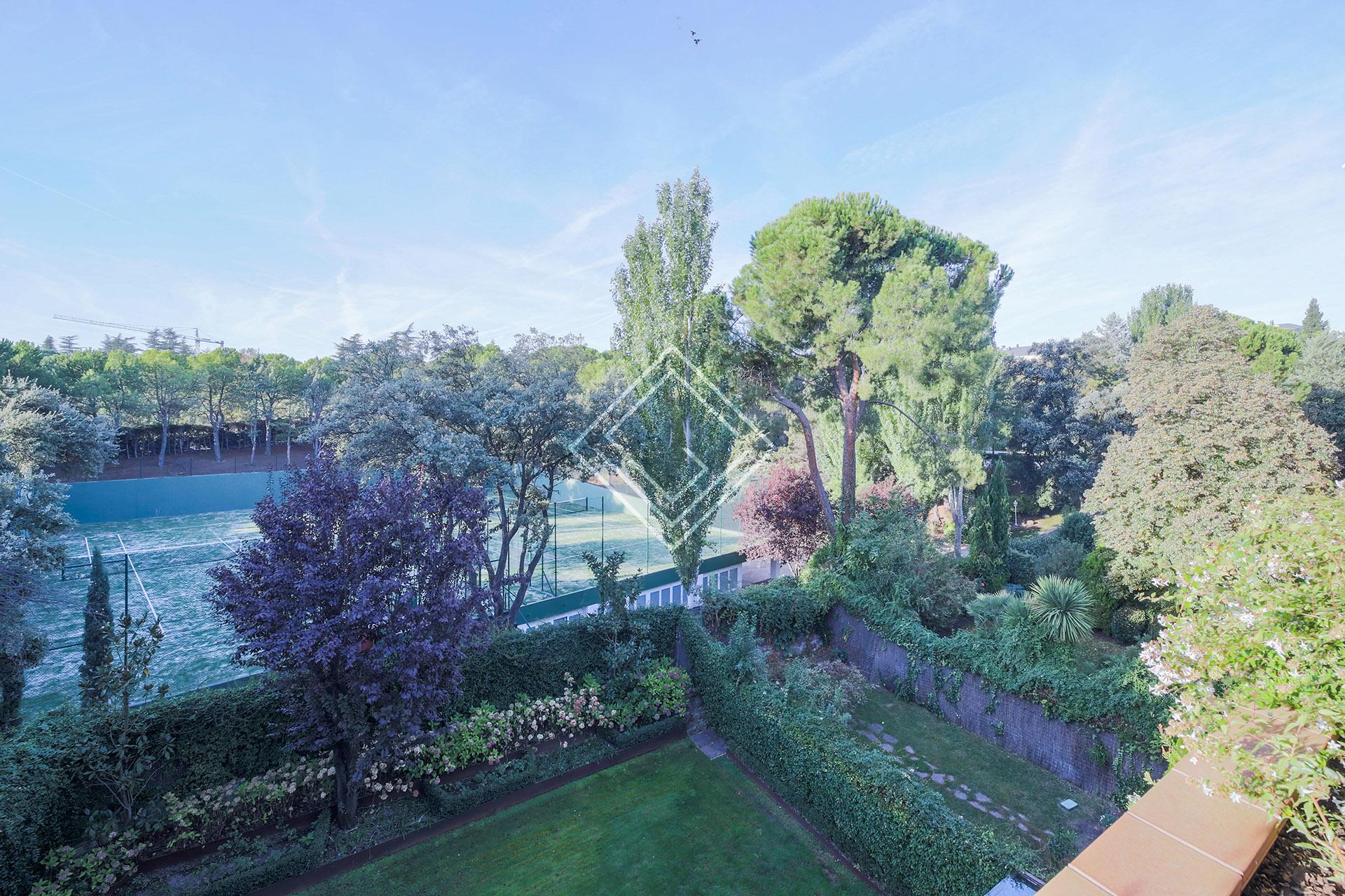 Imagen 45 de la propiedad