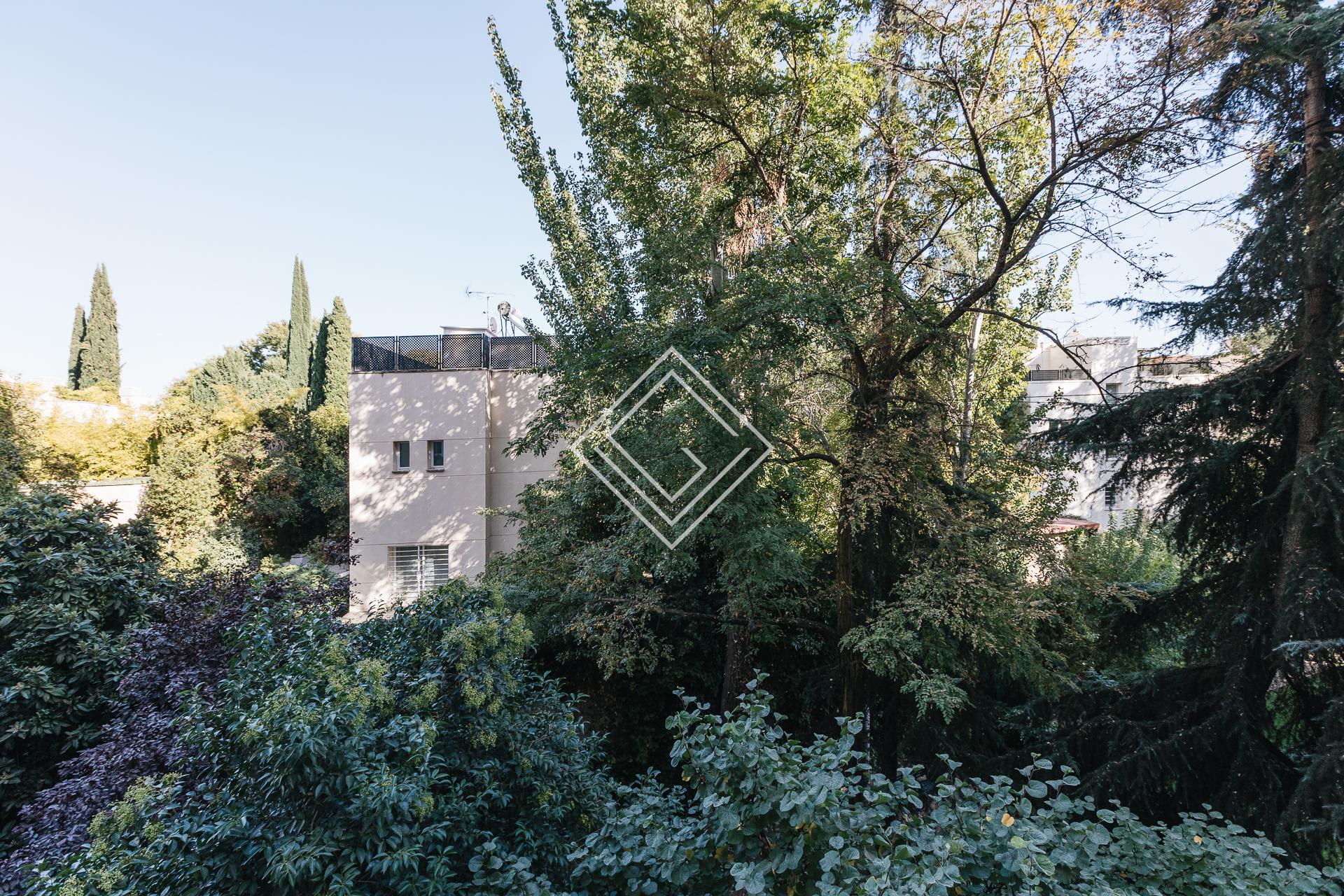 Imagen 9 de la propiedad