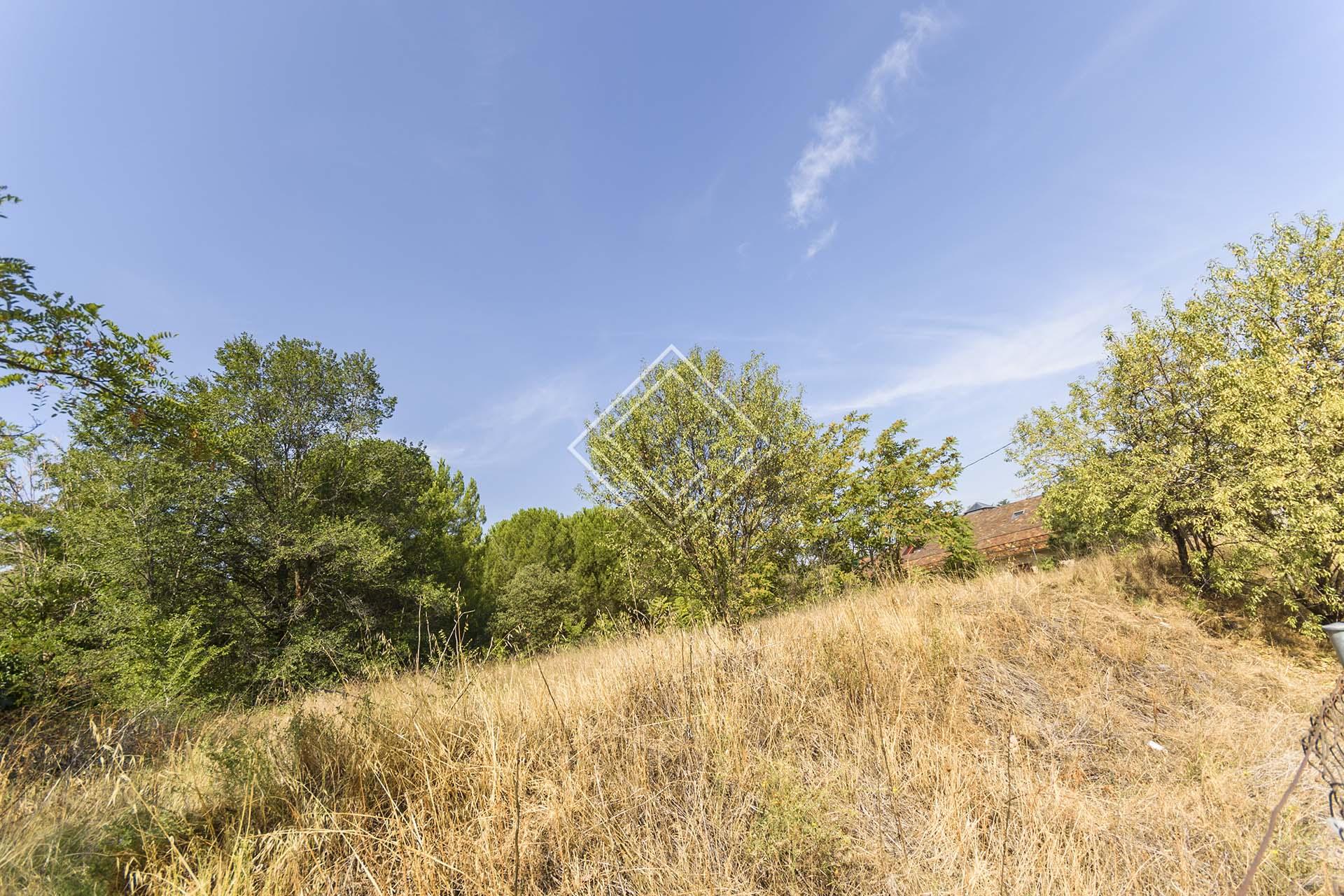 Imagen 2 de la propiedad