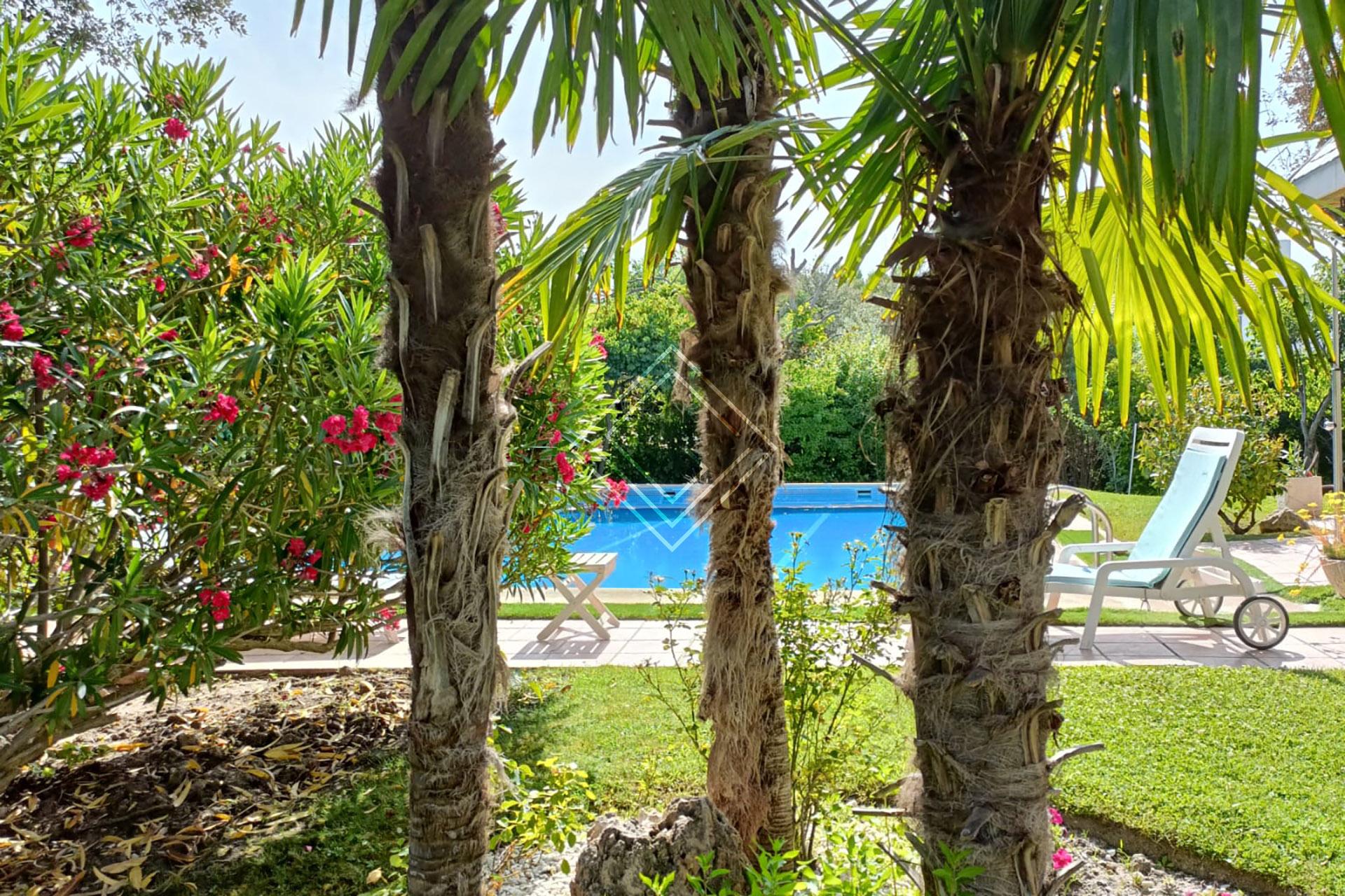 Imagen 9 de la propiedad