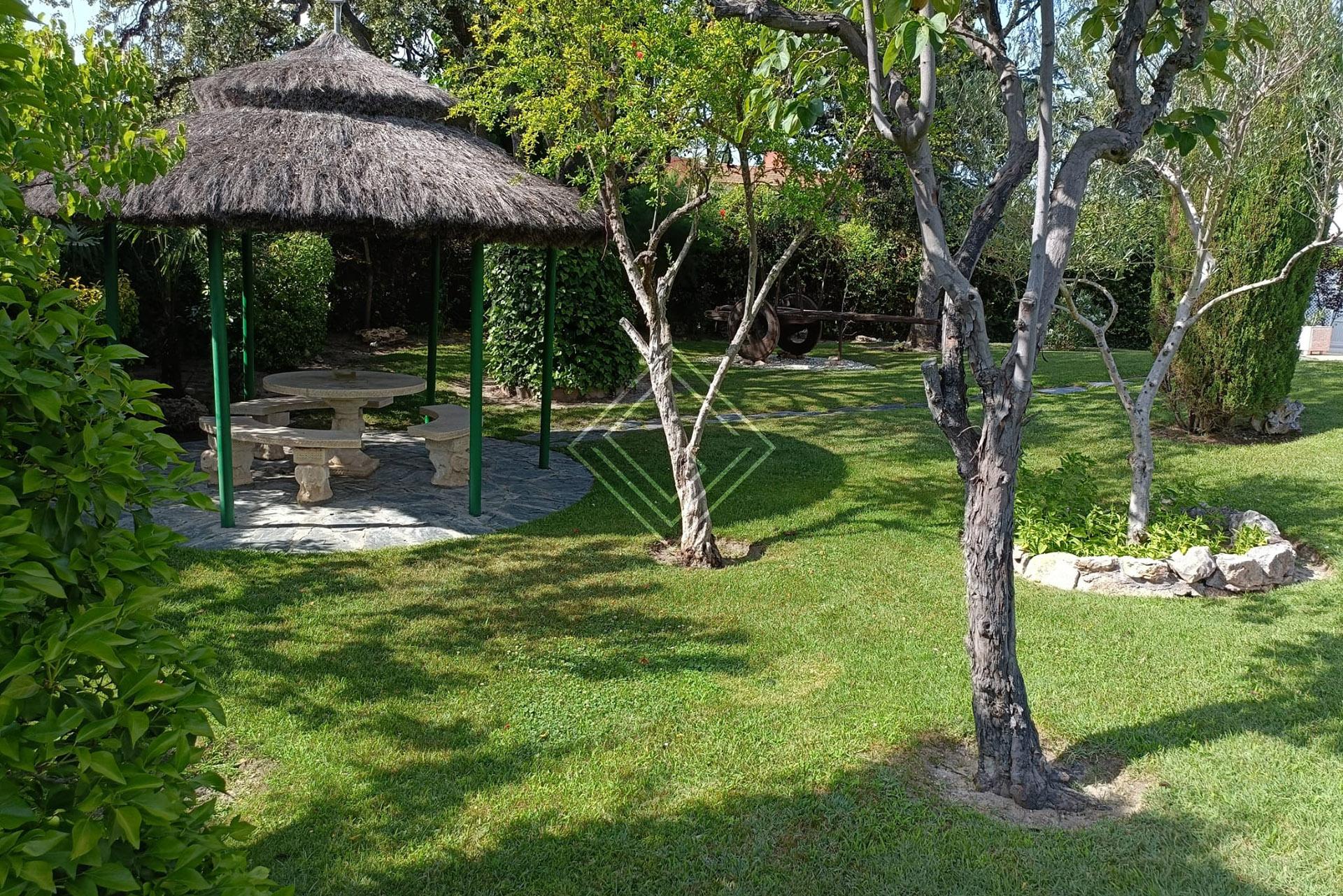 Imagen 6 de la propiedad