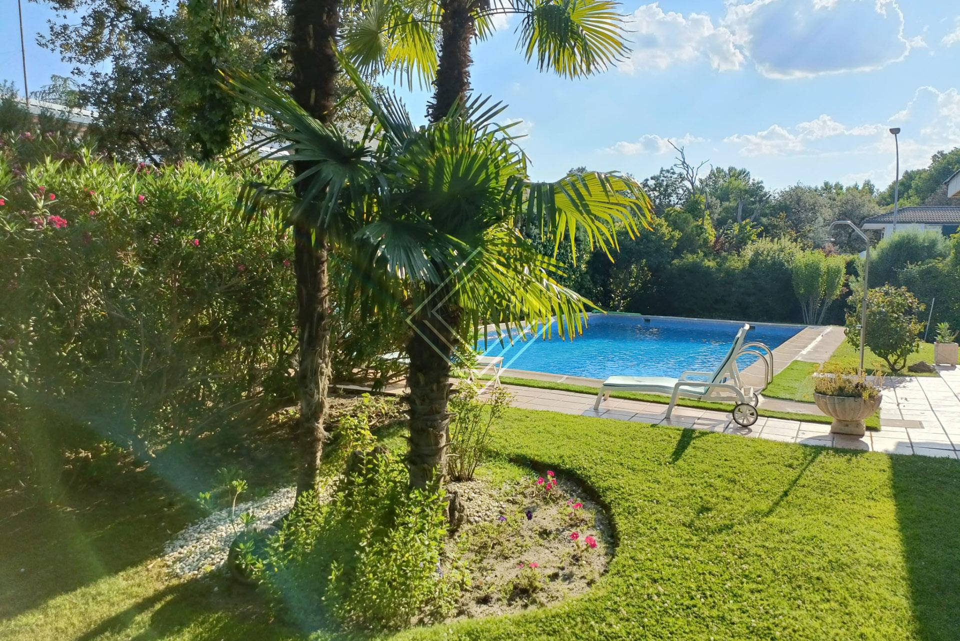 Imagen 8 de la propiedad