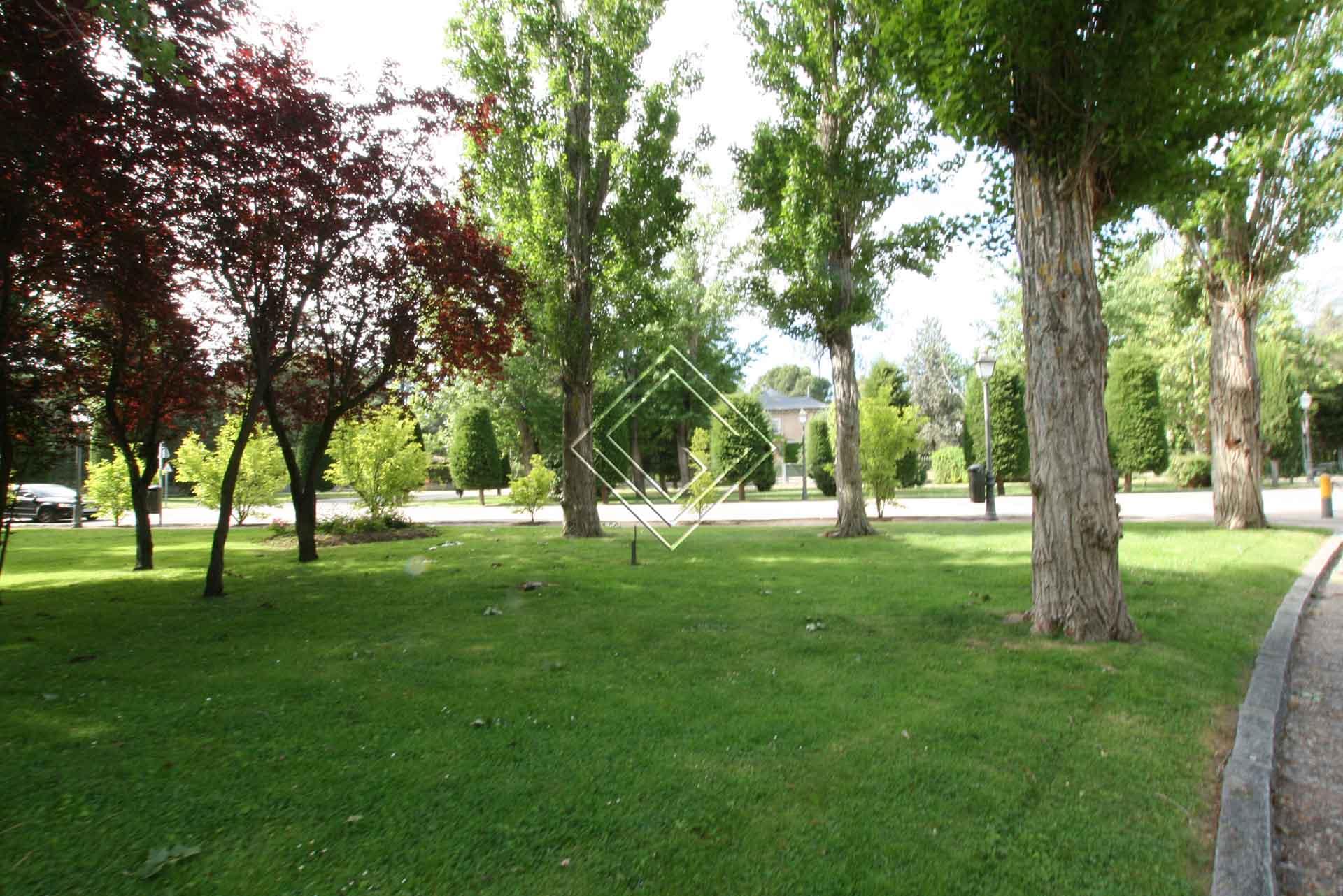 Imagen 8 de la propiedad