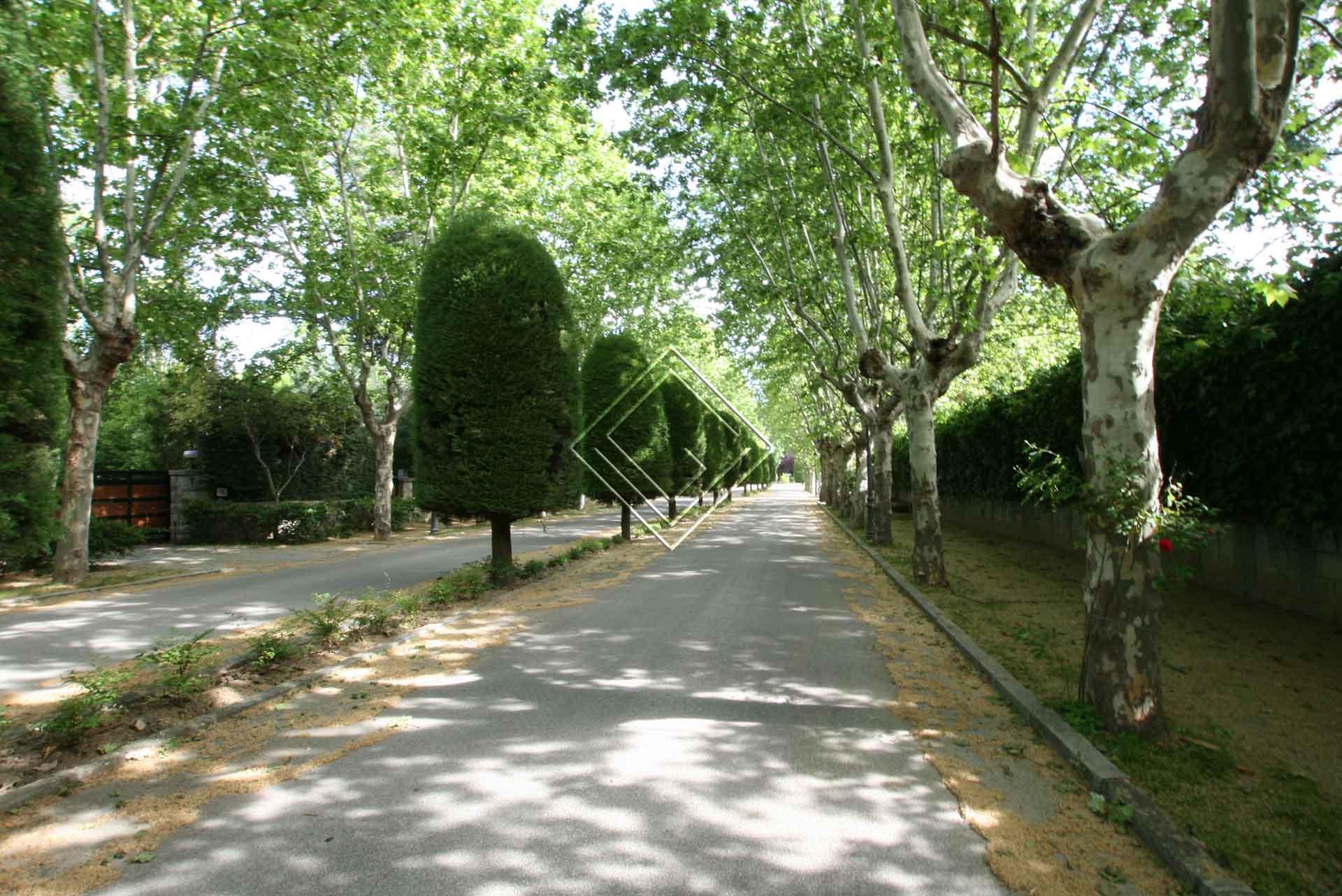 Imagen 22 de la propiedad