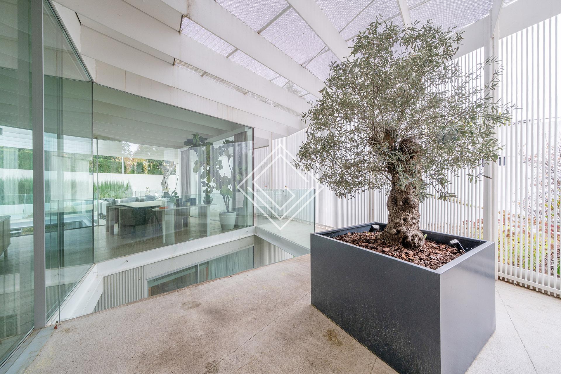 Imagen 38 de la propiedad