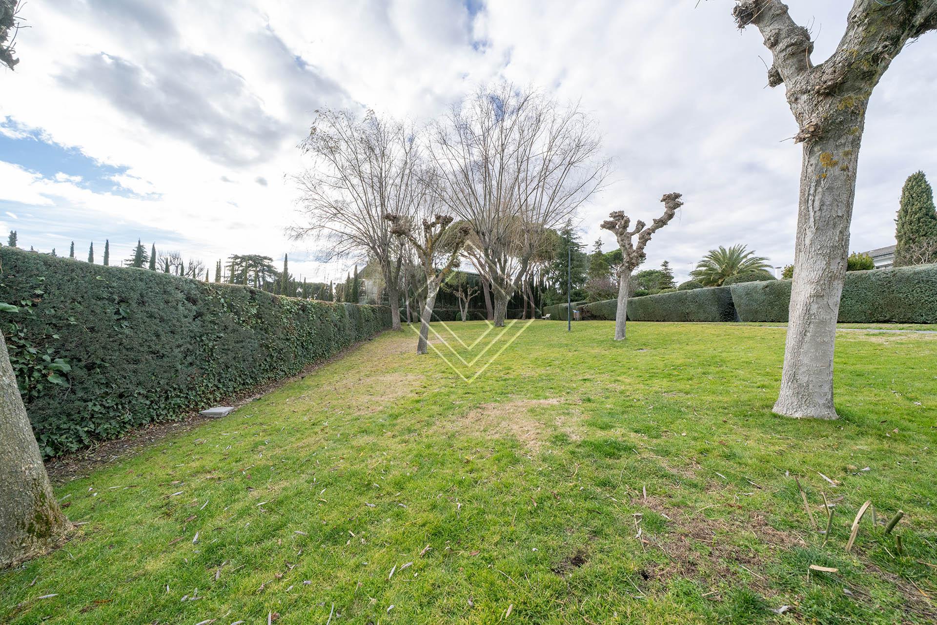 Imagen 50 de la propiedad