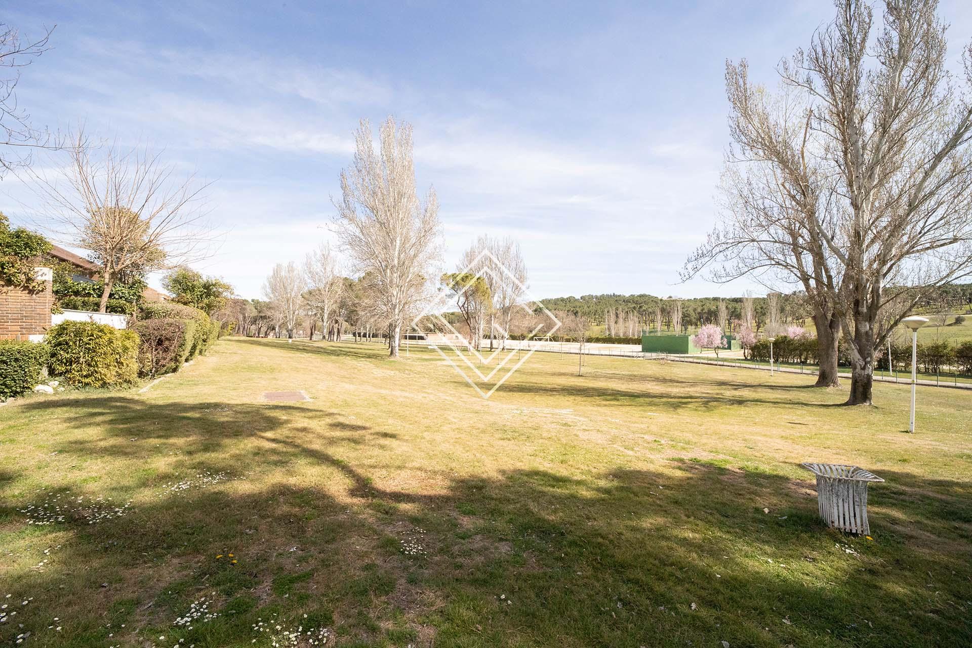 Imagen 11 de la propiedad