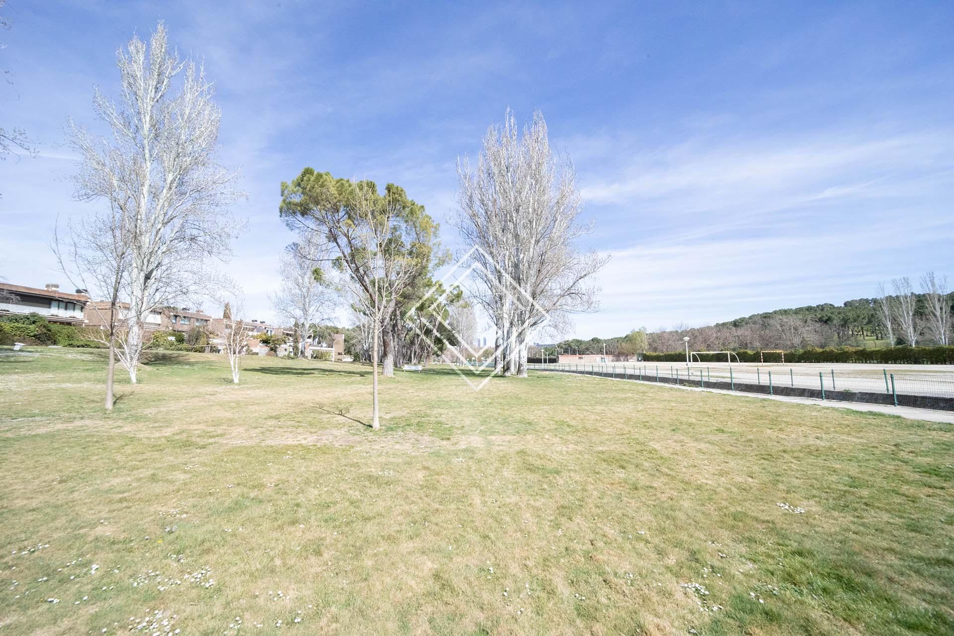 Imagen 12 de la propiedad