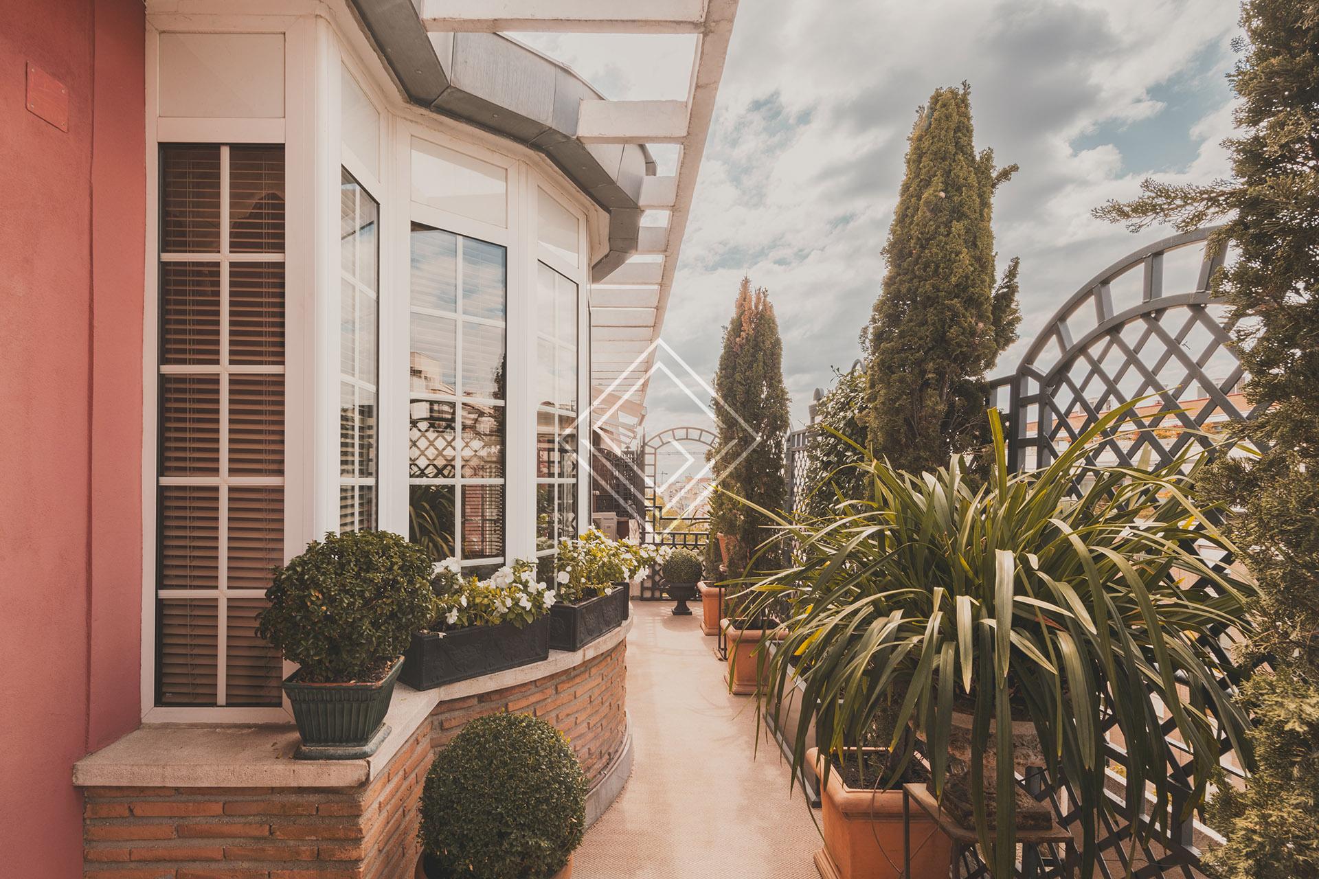 Imagen 53 de la propiedad