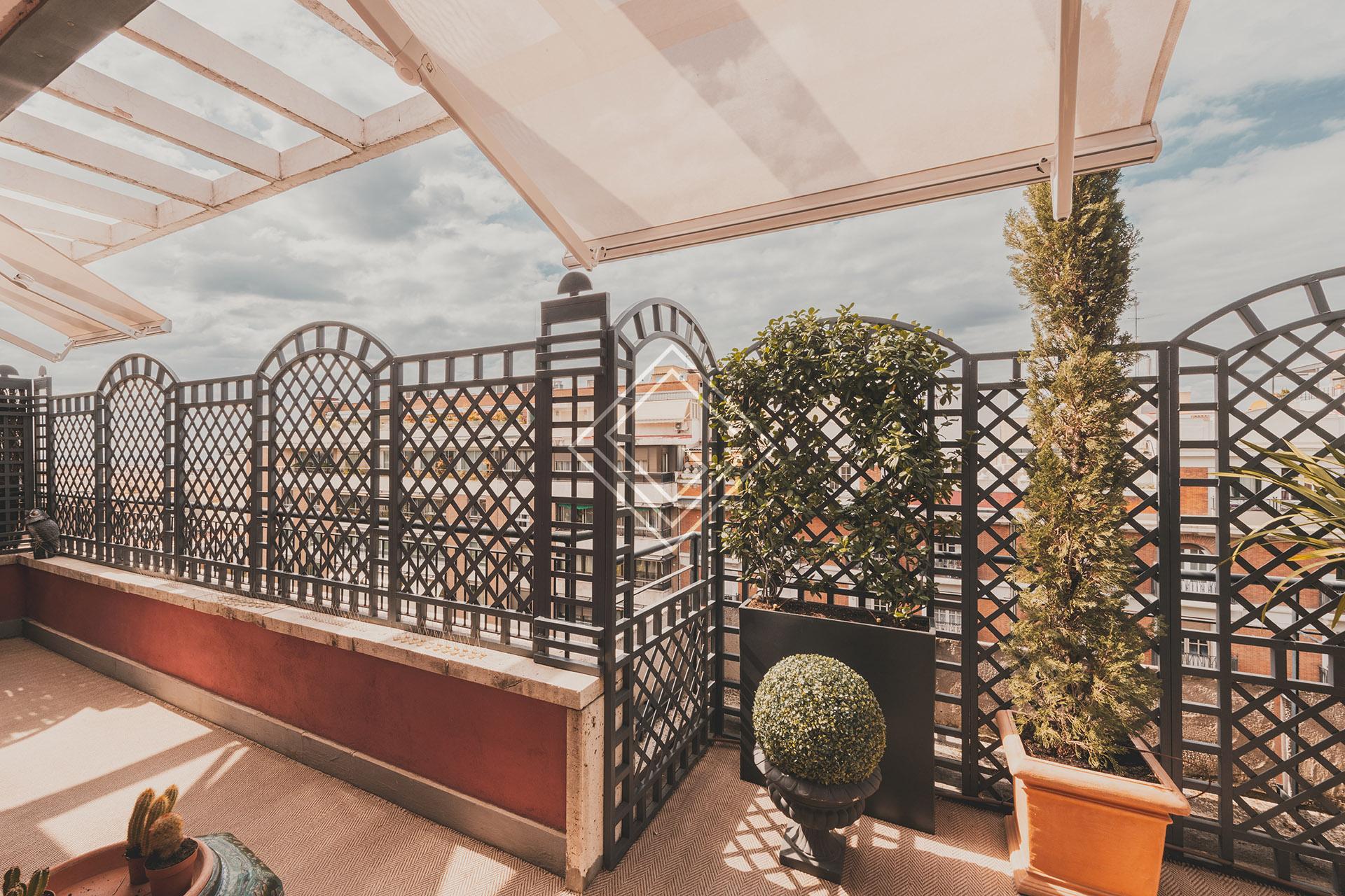 Imagen 39 de la propiedad