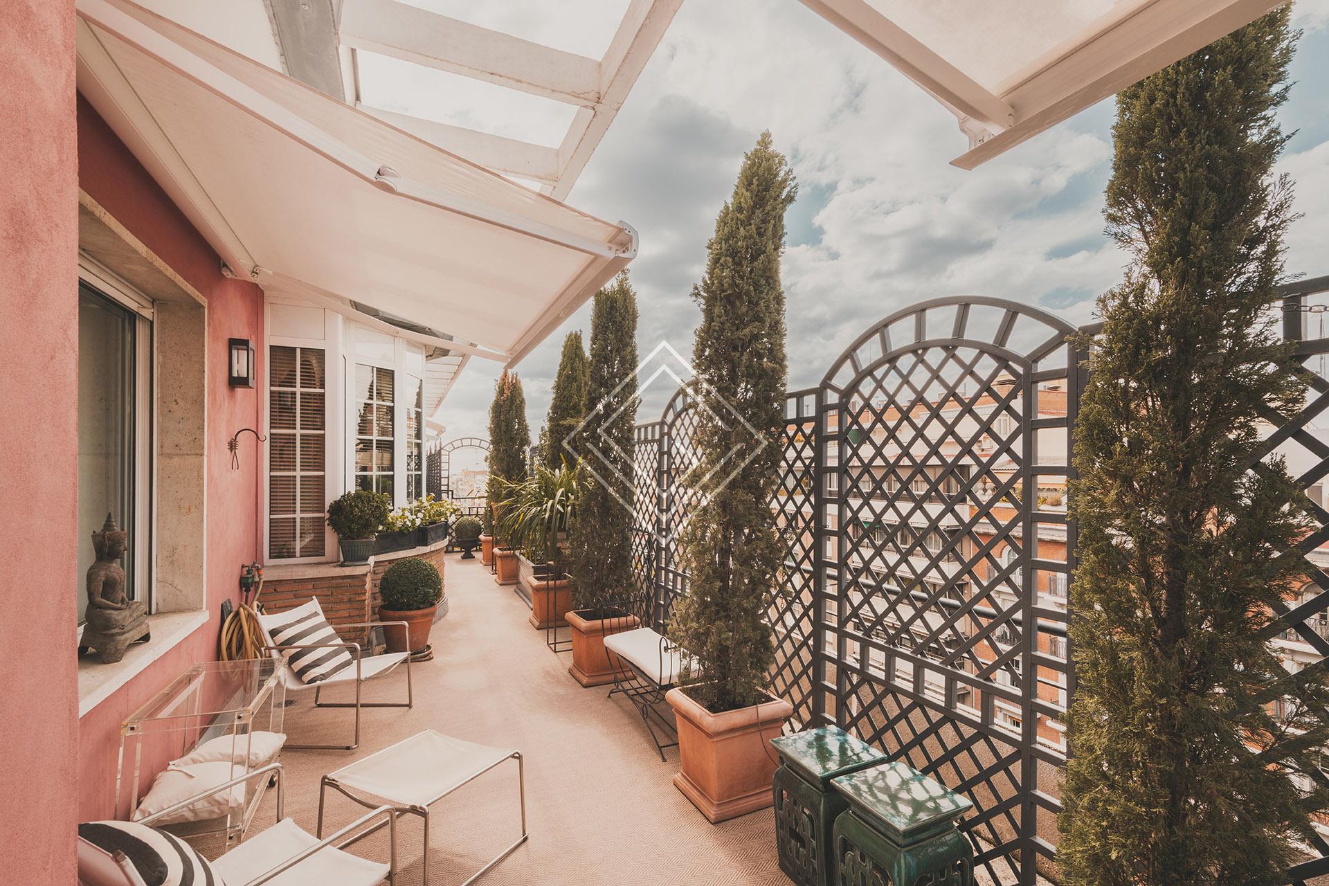 Imagen 50 de la propiedad