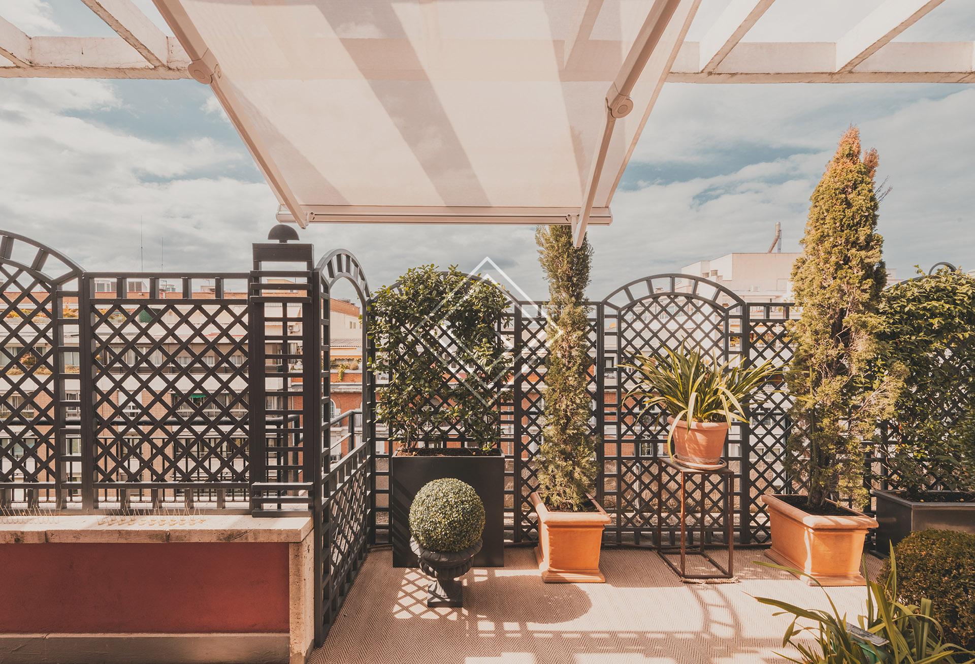 Imagen 38 de la propiedad