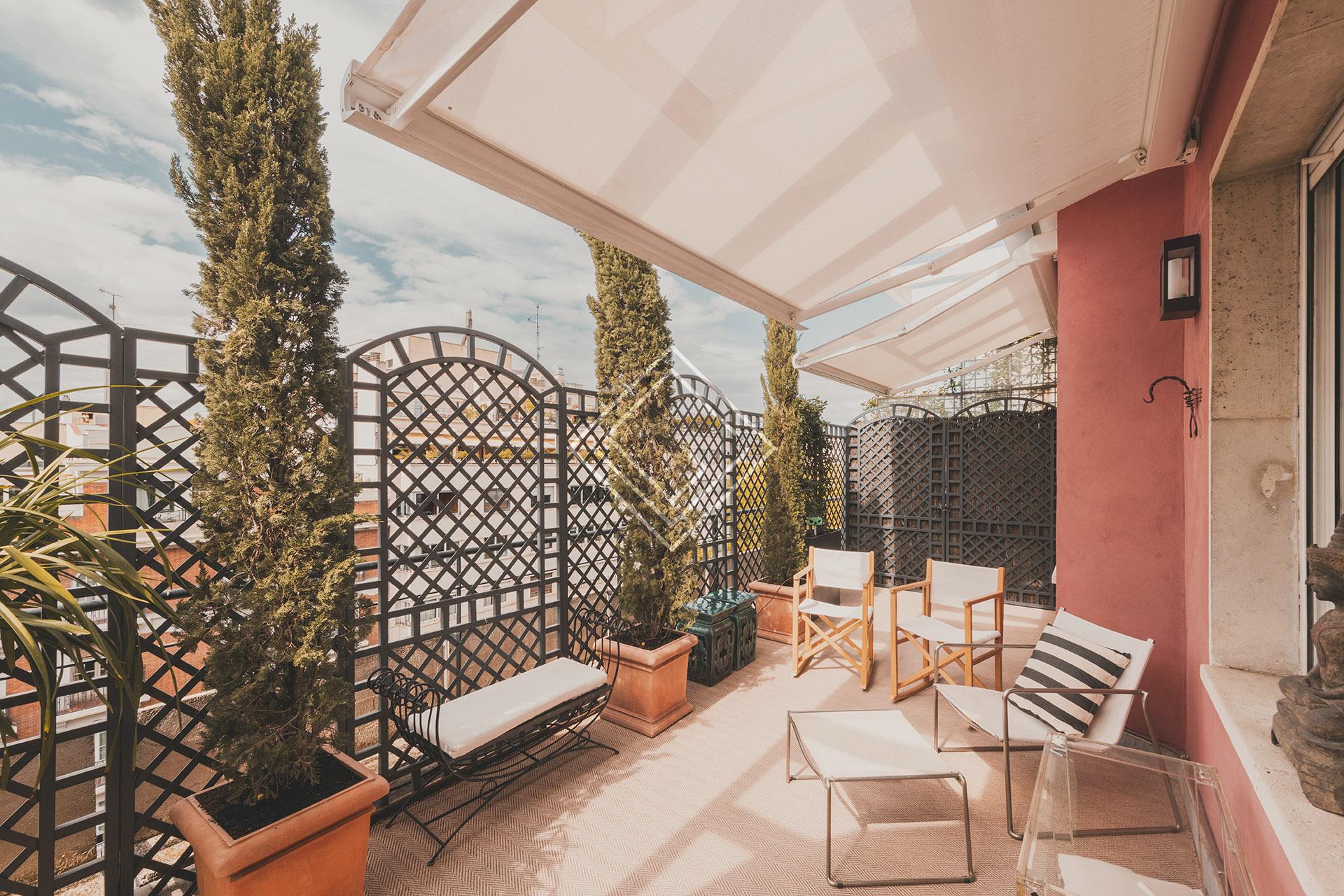 Imagen 46 de la propiedad