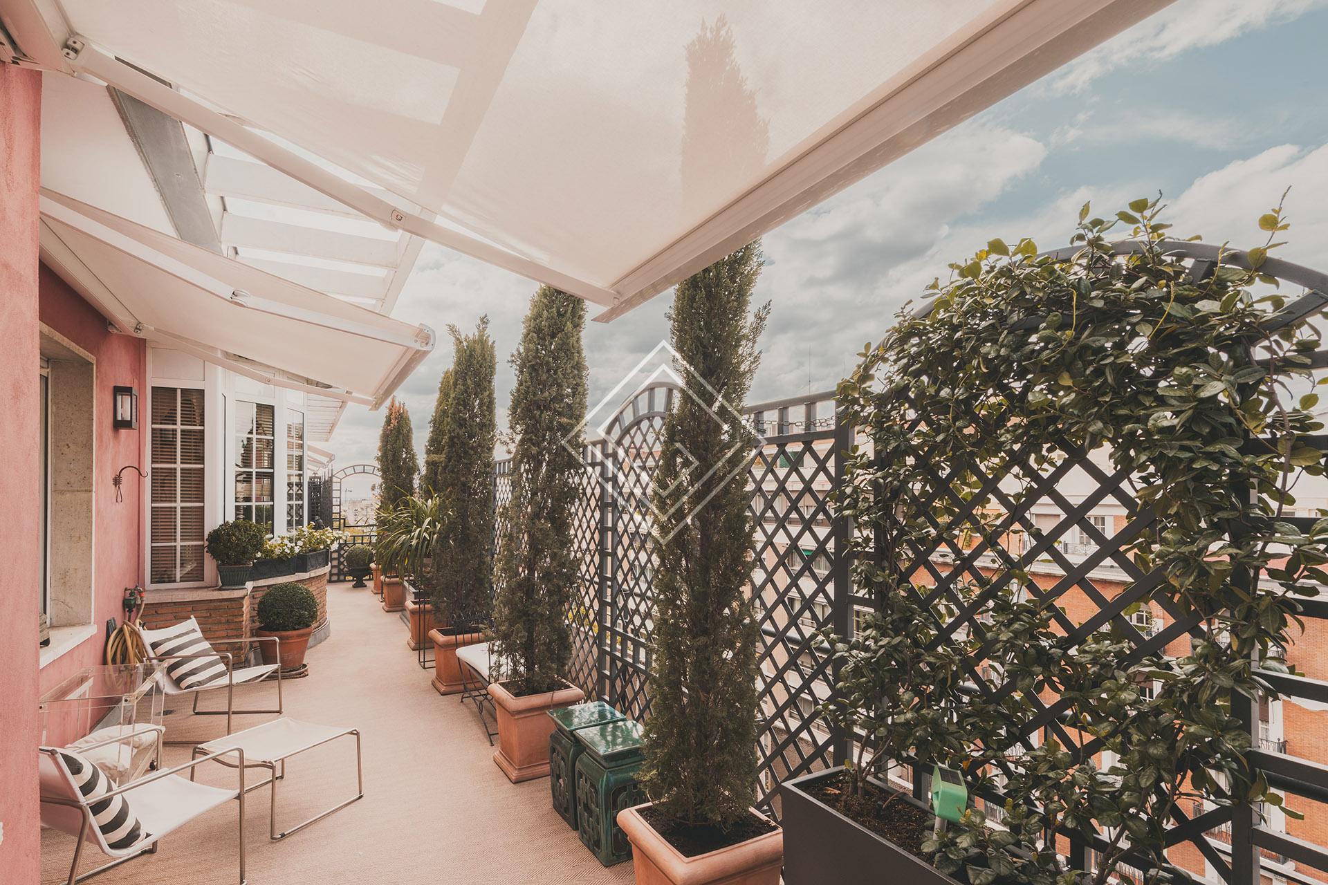 Imagen 49 de la propiedad