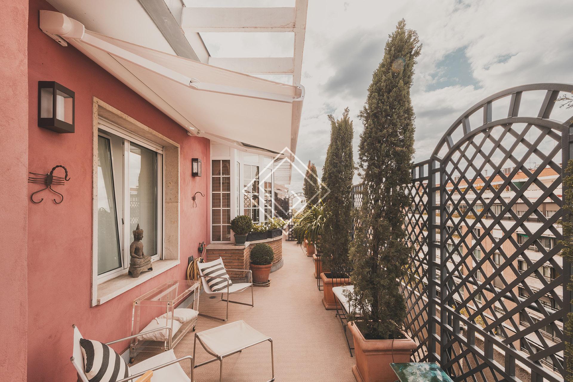 Imagen 47 de la propiedad