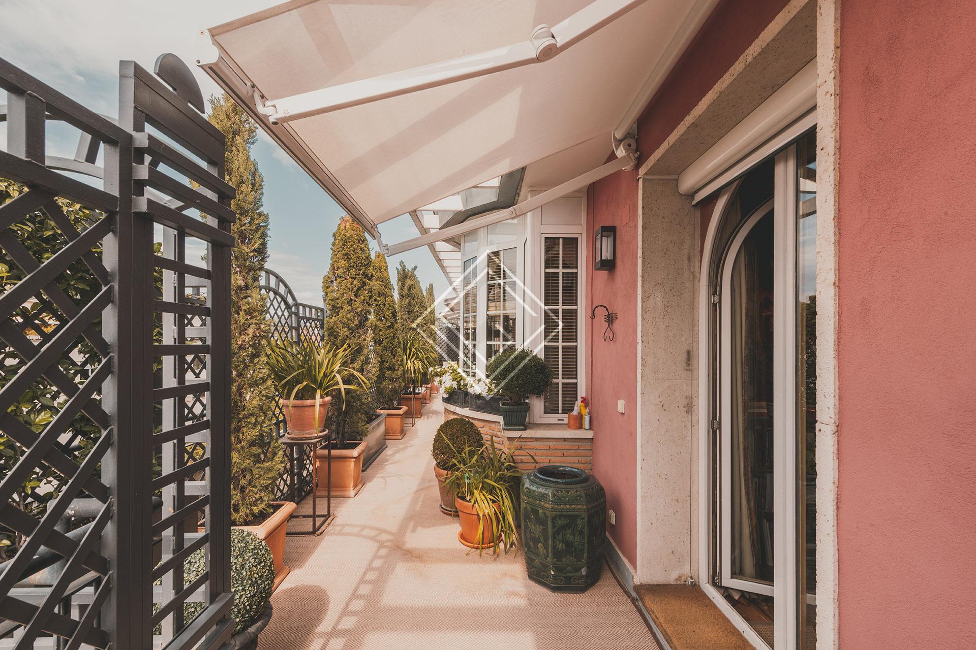 Imagen 54 de la propiedad