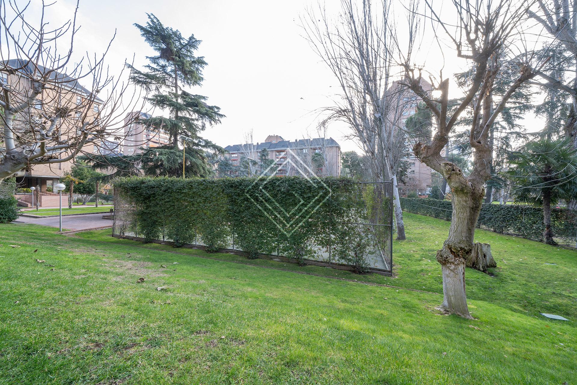 Imagen 19 de la propiedad