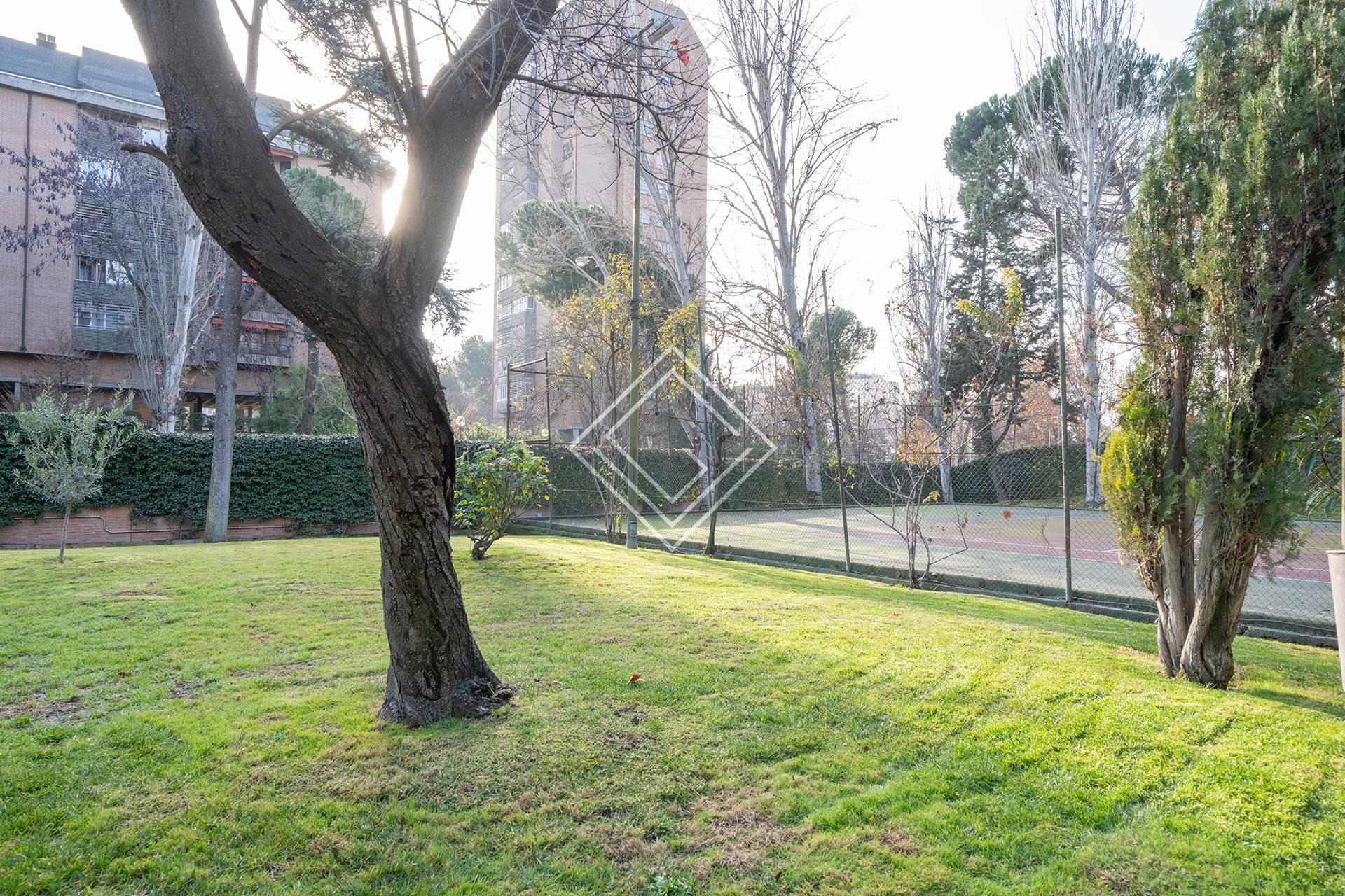 Imagen 22 de la propiedad