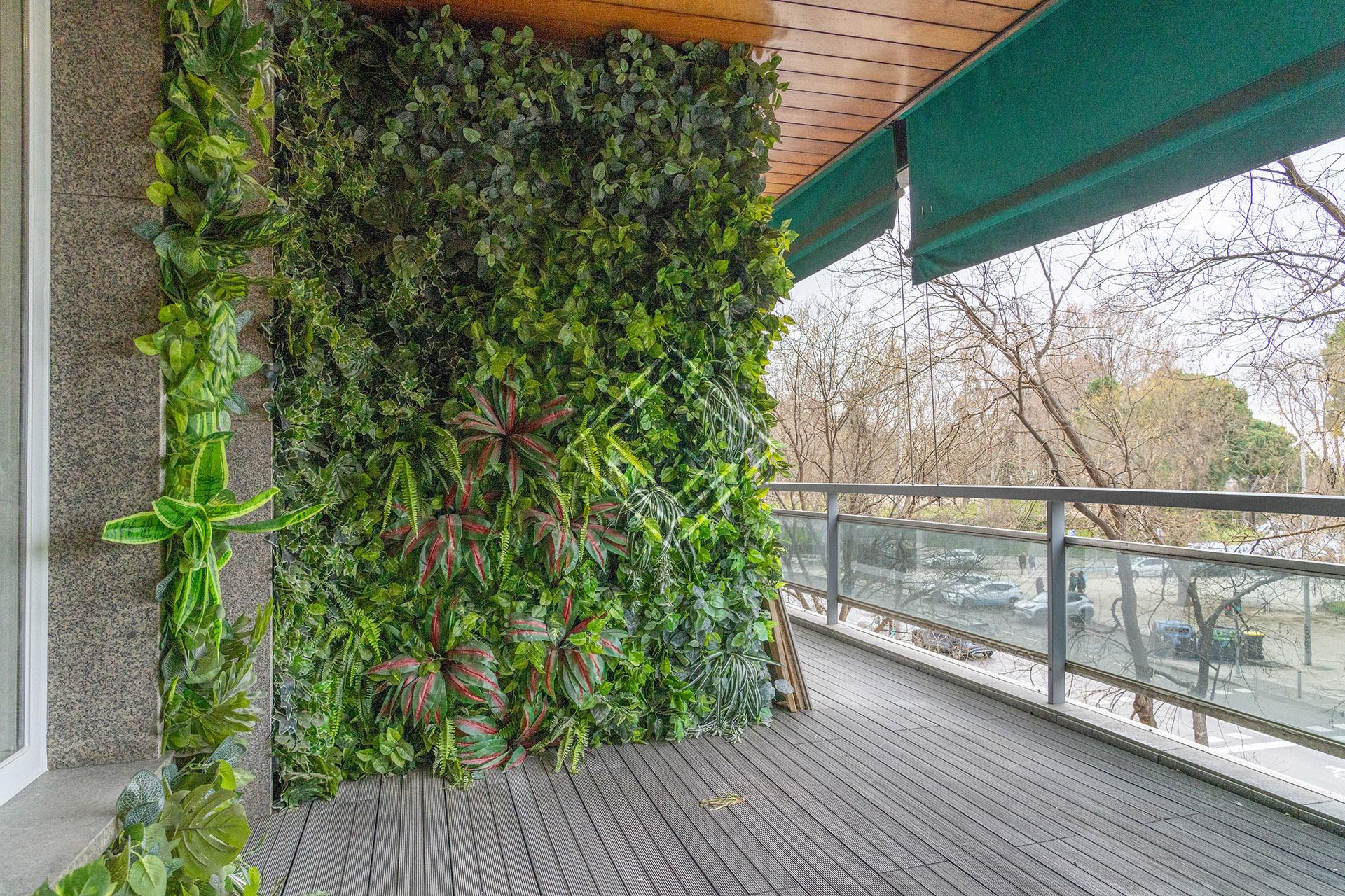 Imagen 11 de la propiedad