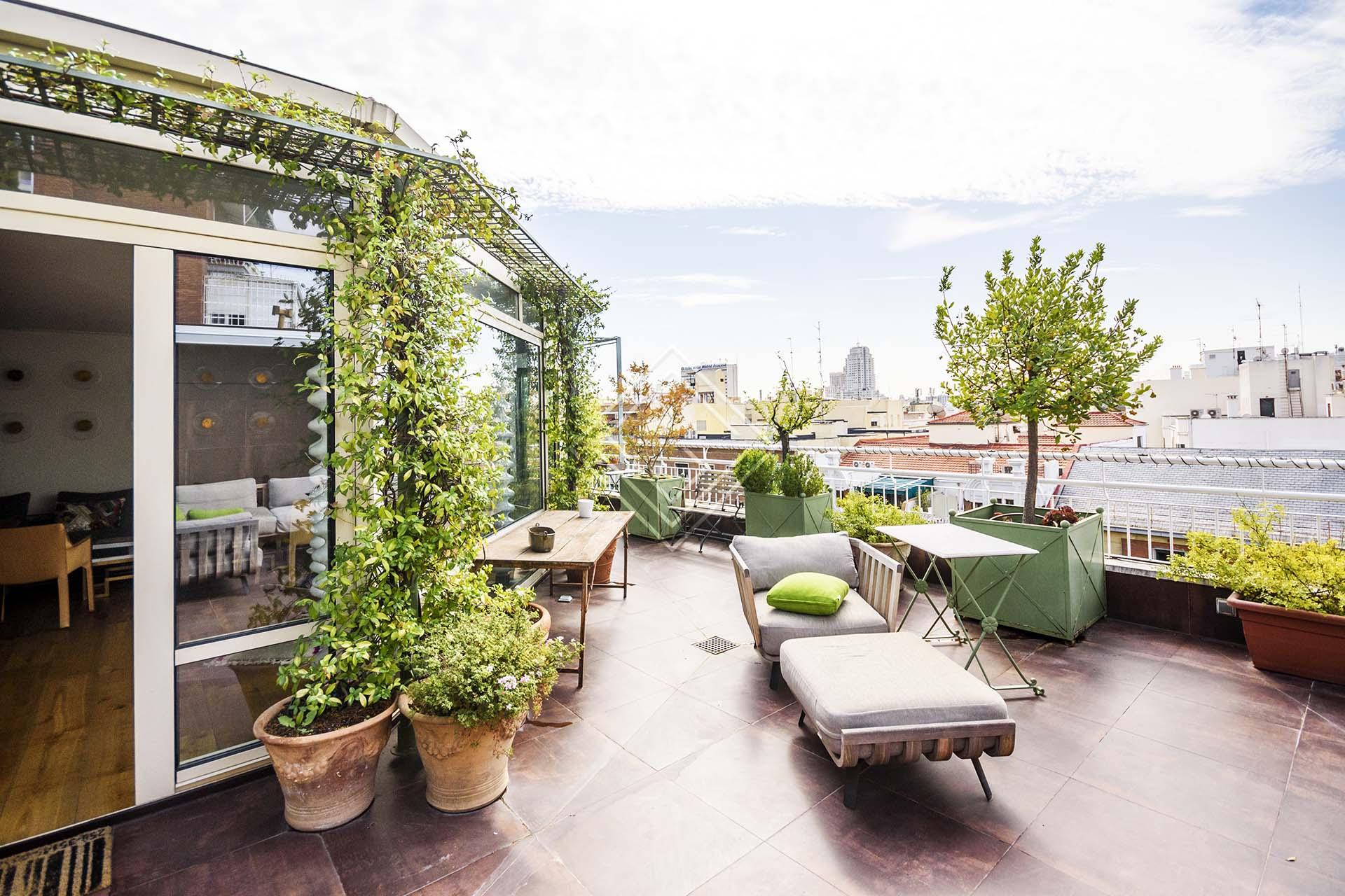 Imagen 11 de la propiedad