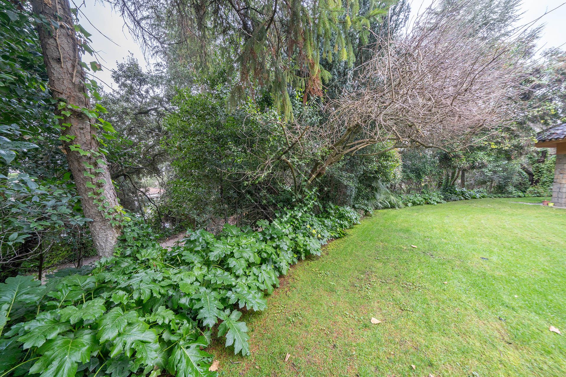 Imagen 40 de la propiedad