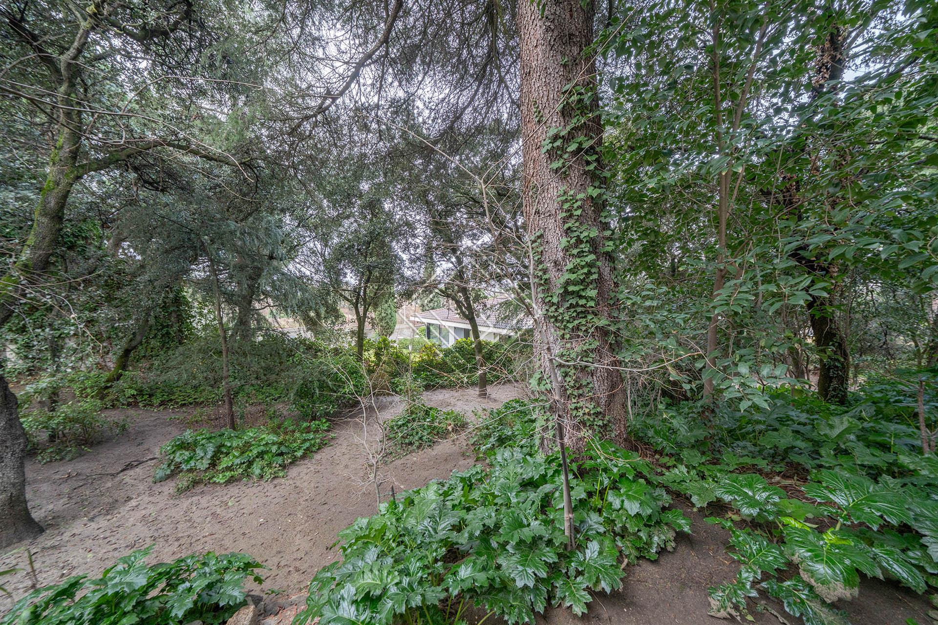 Imagen 5 de la propiedad