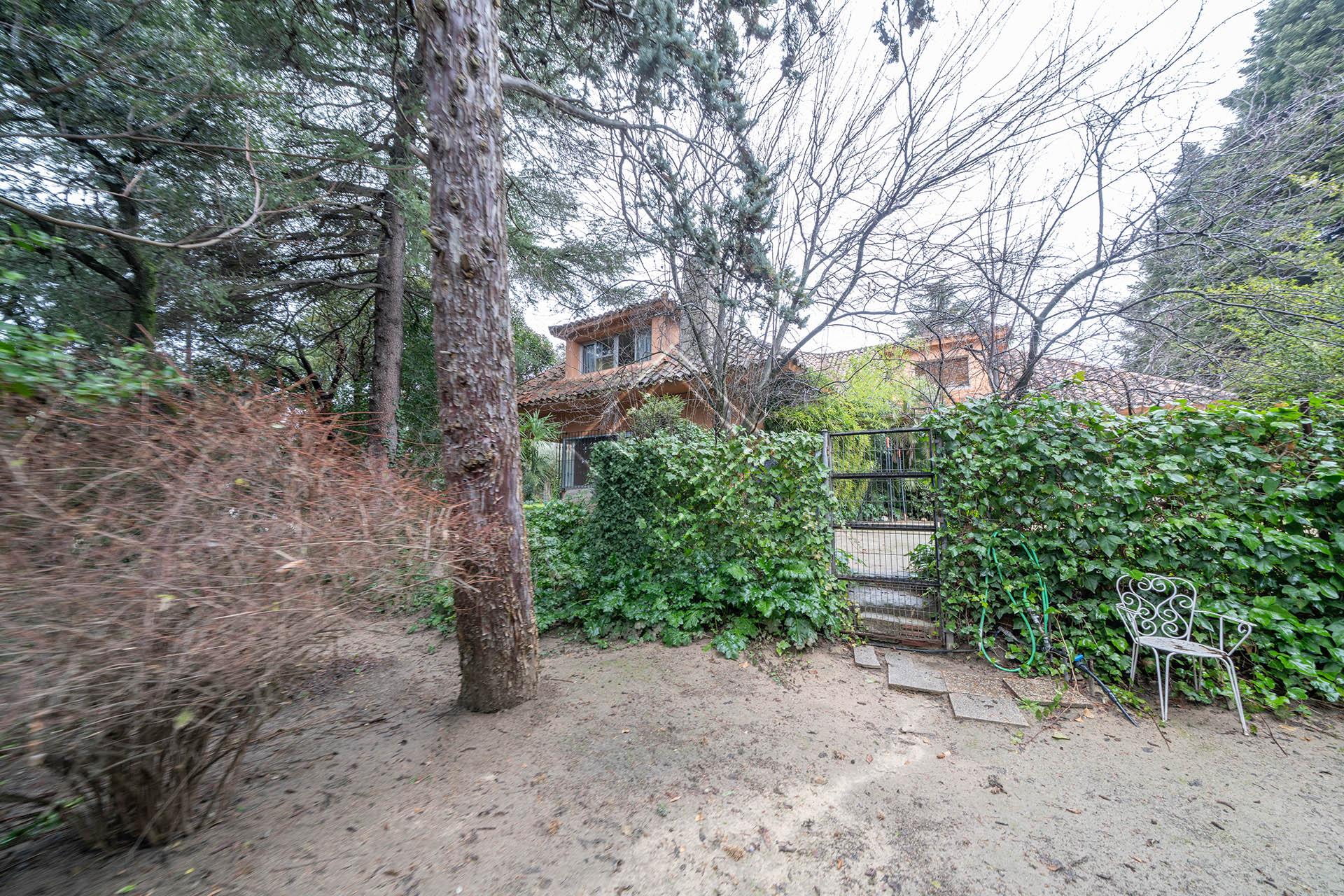 Imagen 55 de la propiedad