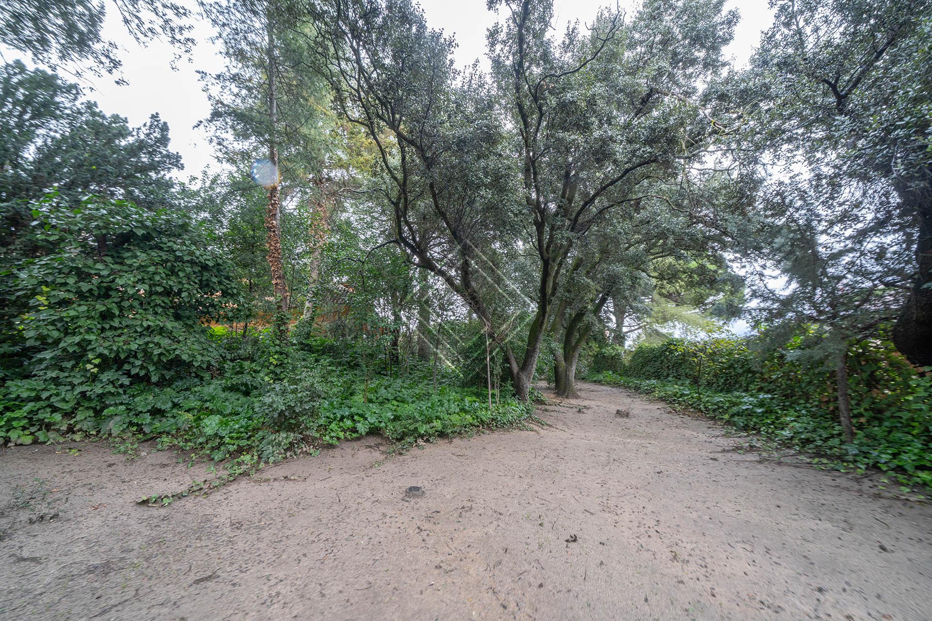 Imagen 50 de la propiedad