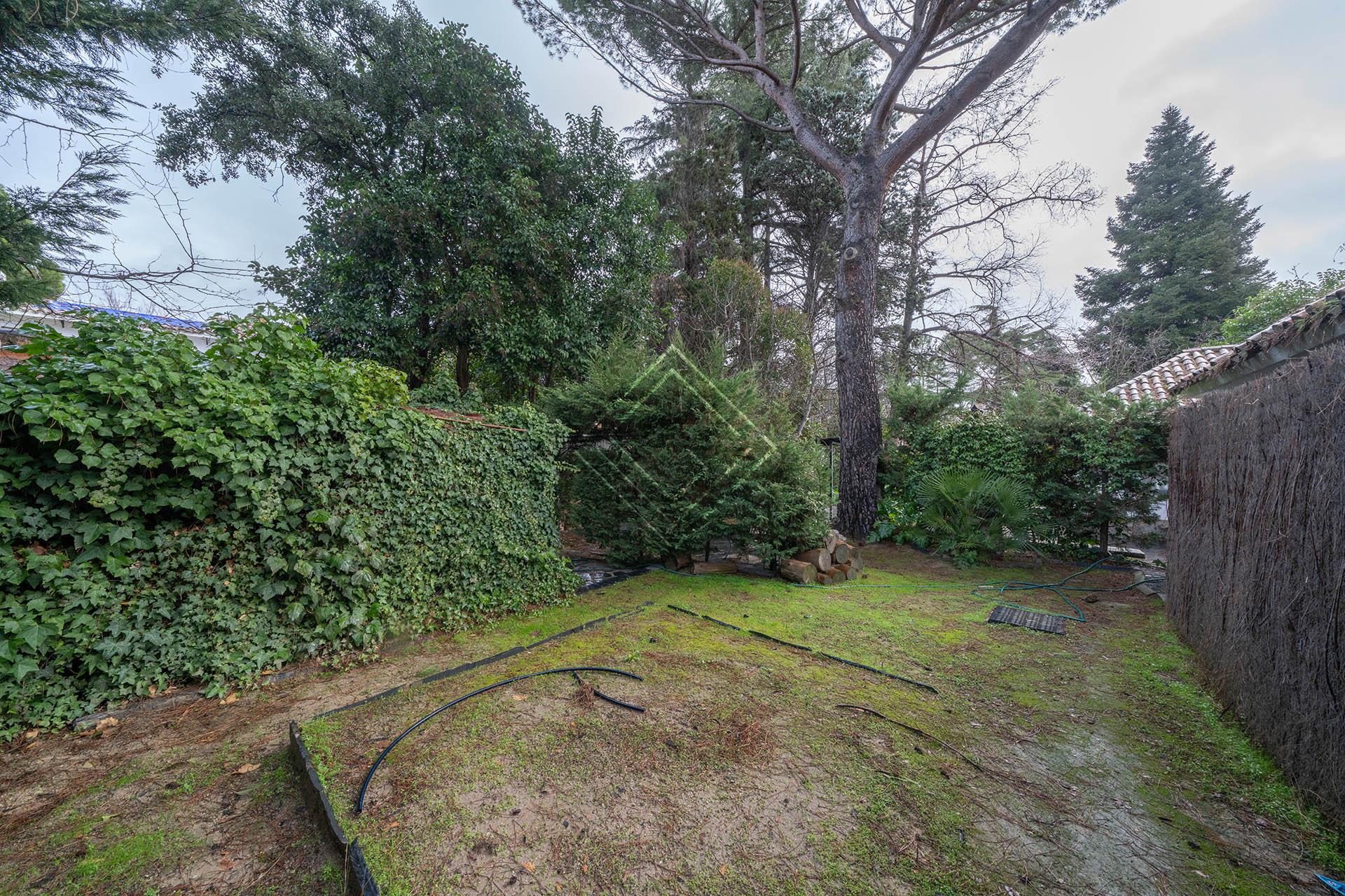 Imagen 34 de la propiedad